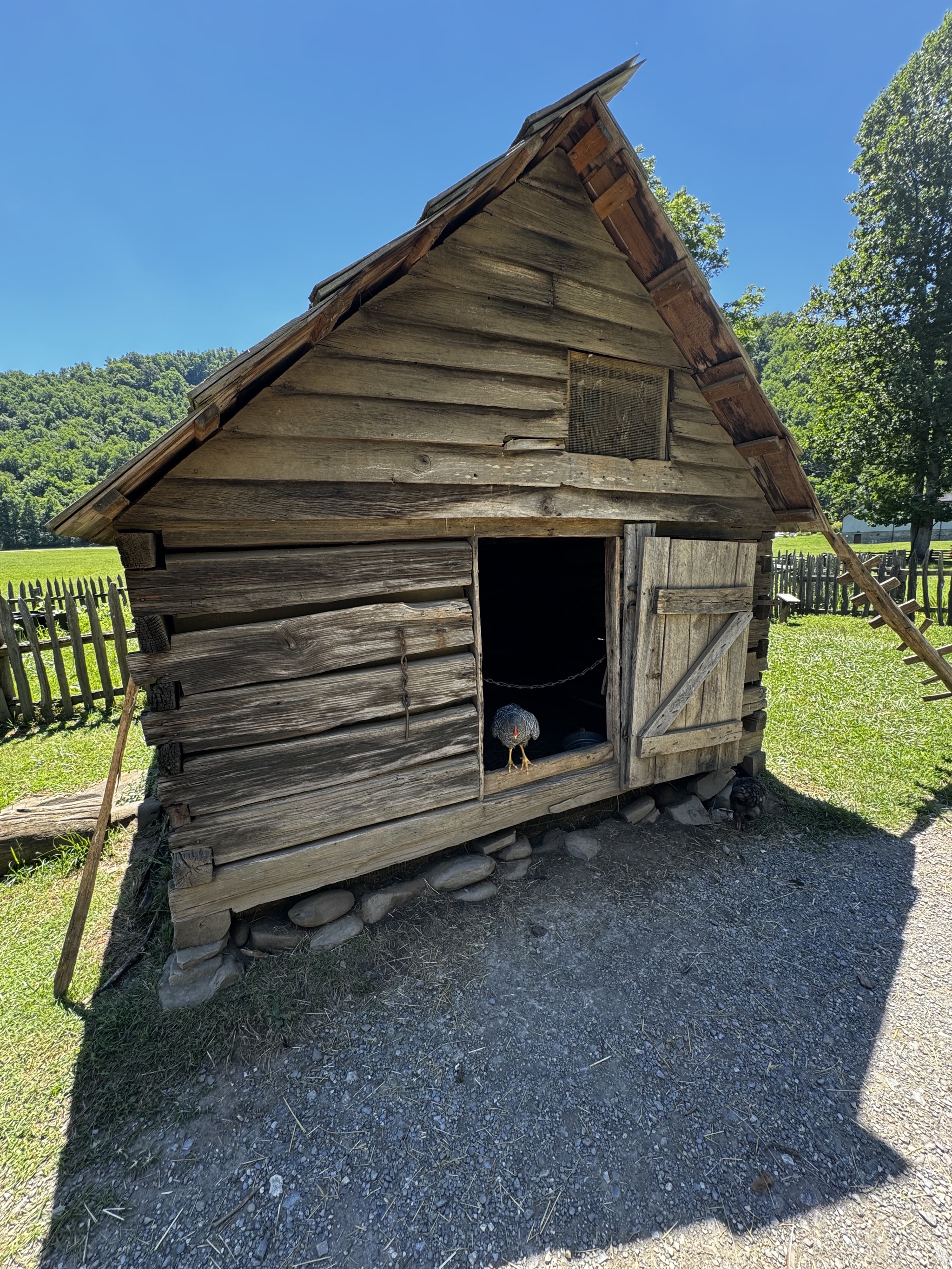 Farm exhibits