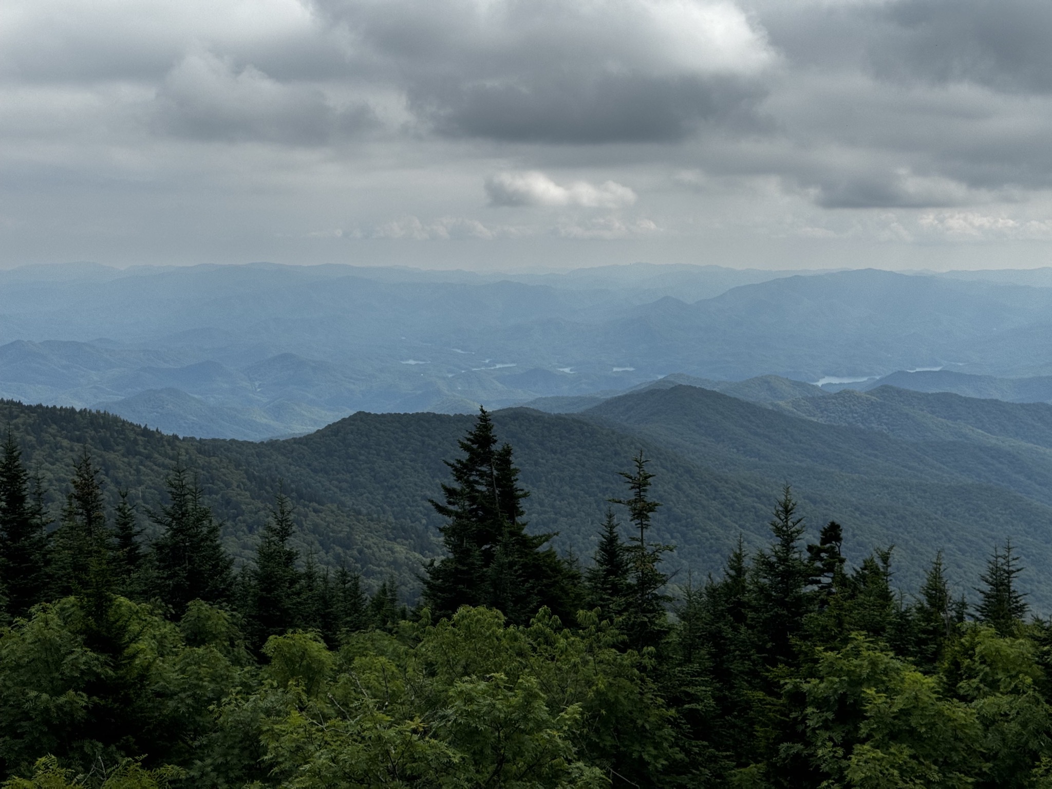 View