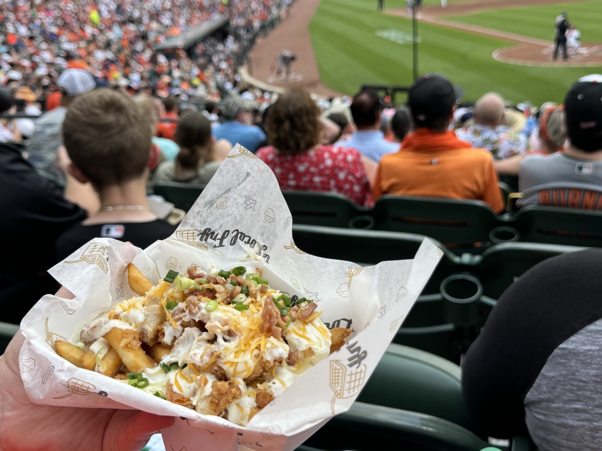 Chicken bacon ranch fries