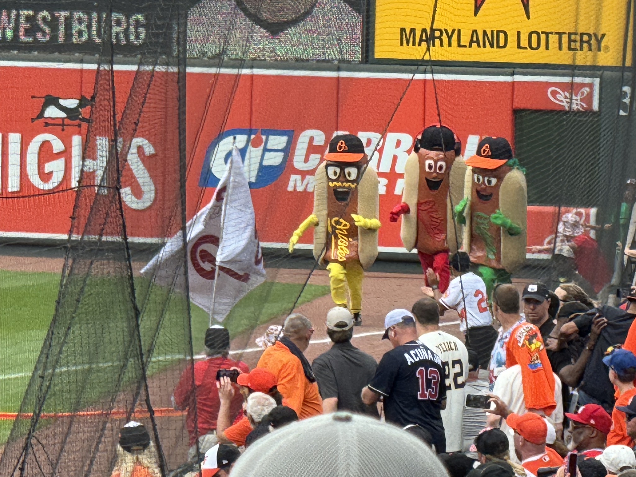 Hot dog race
