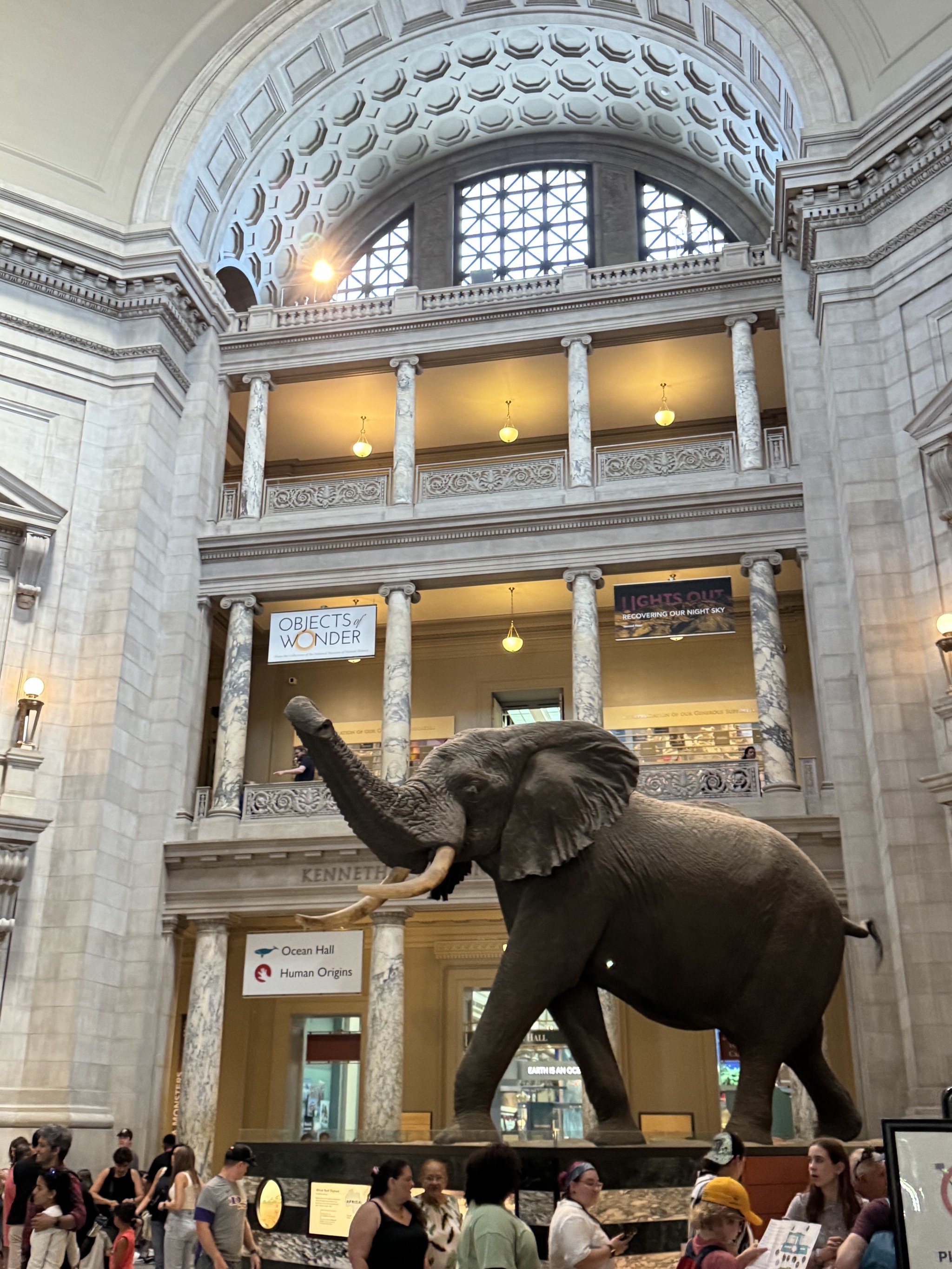 Museum