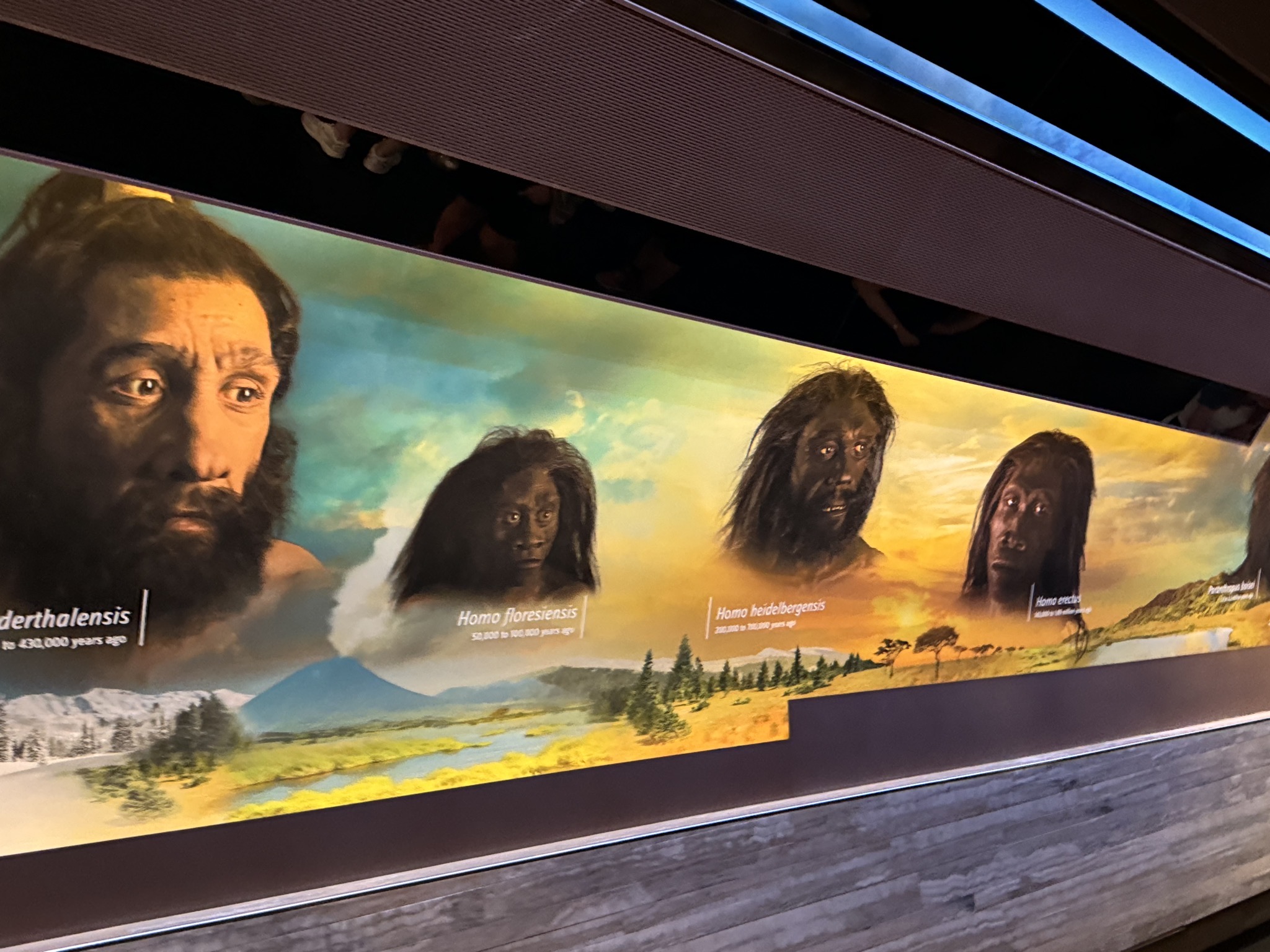 Museum