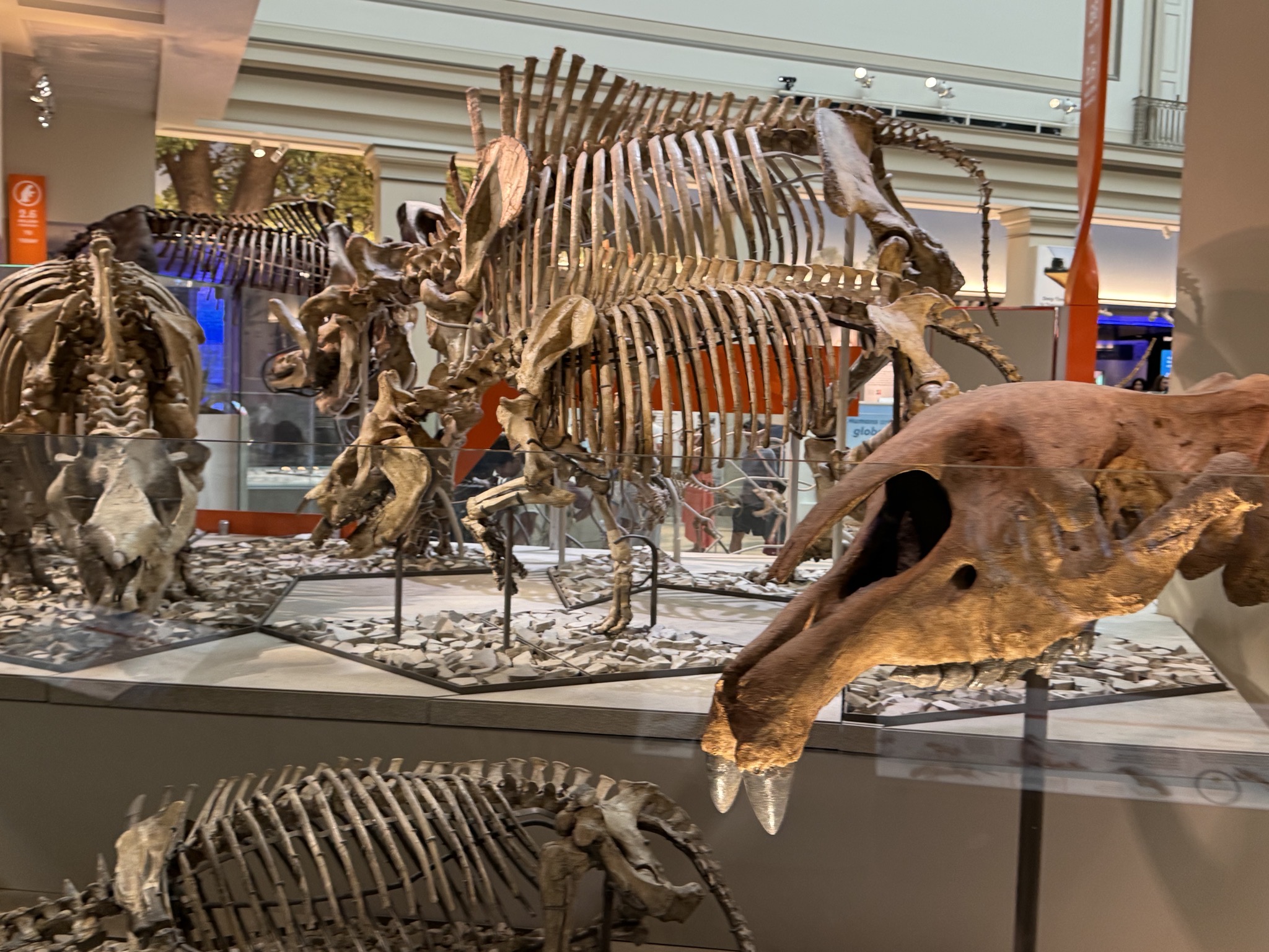 Dinosaurs