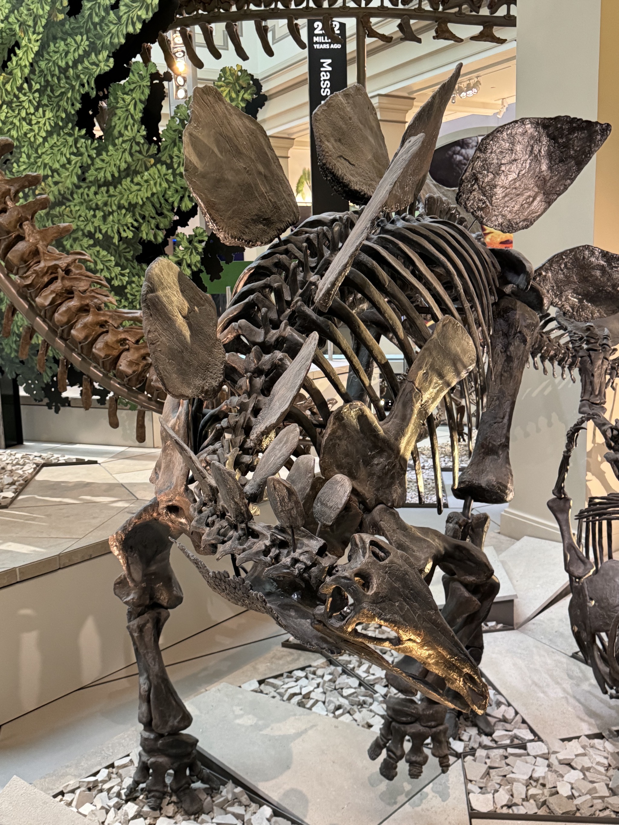 Dinosaurs