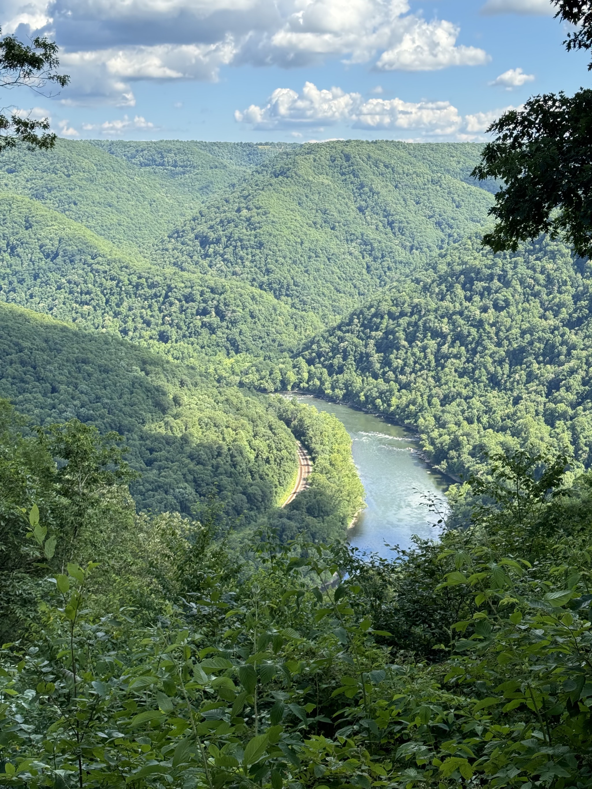 View