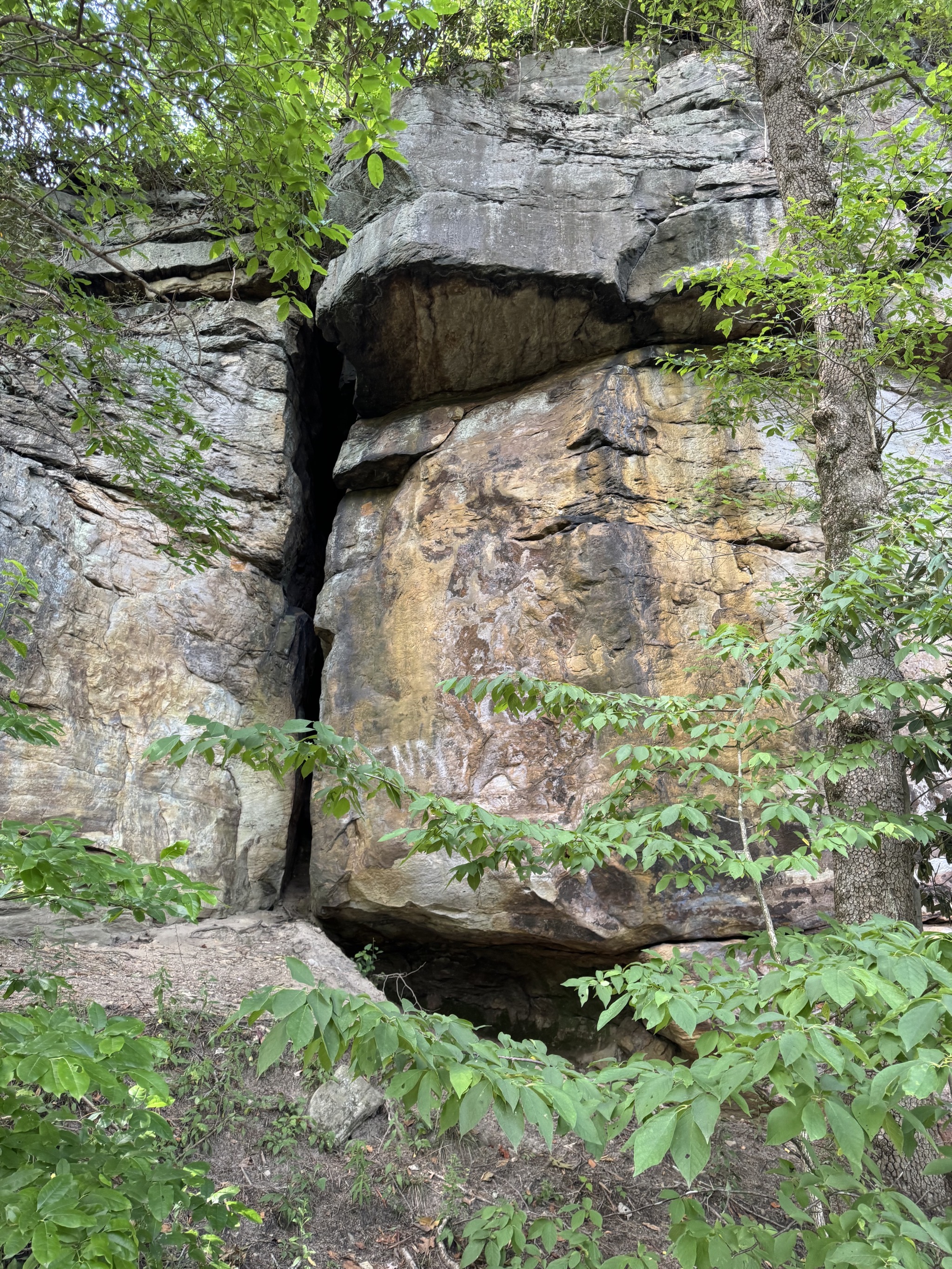 Path