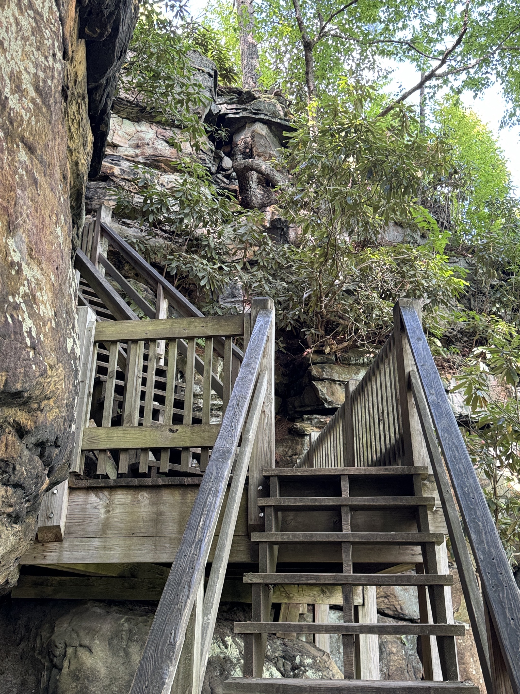 Steps