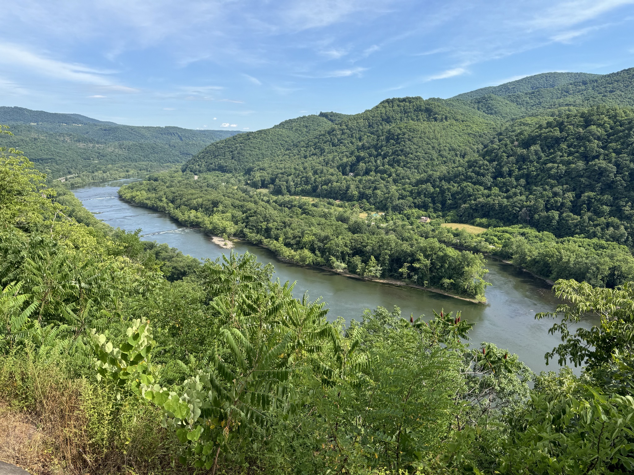 Viewpoint