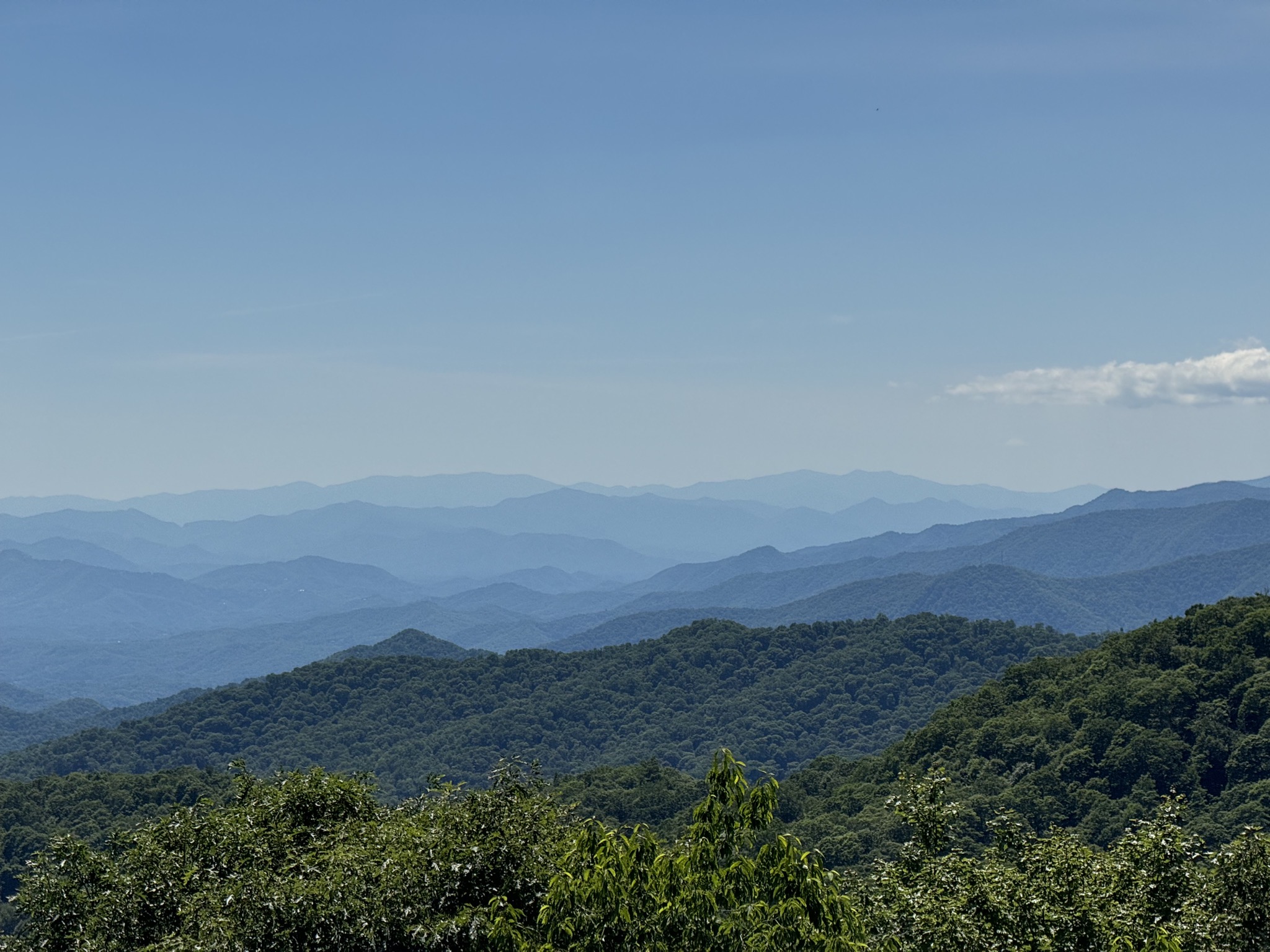 View