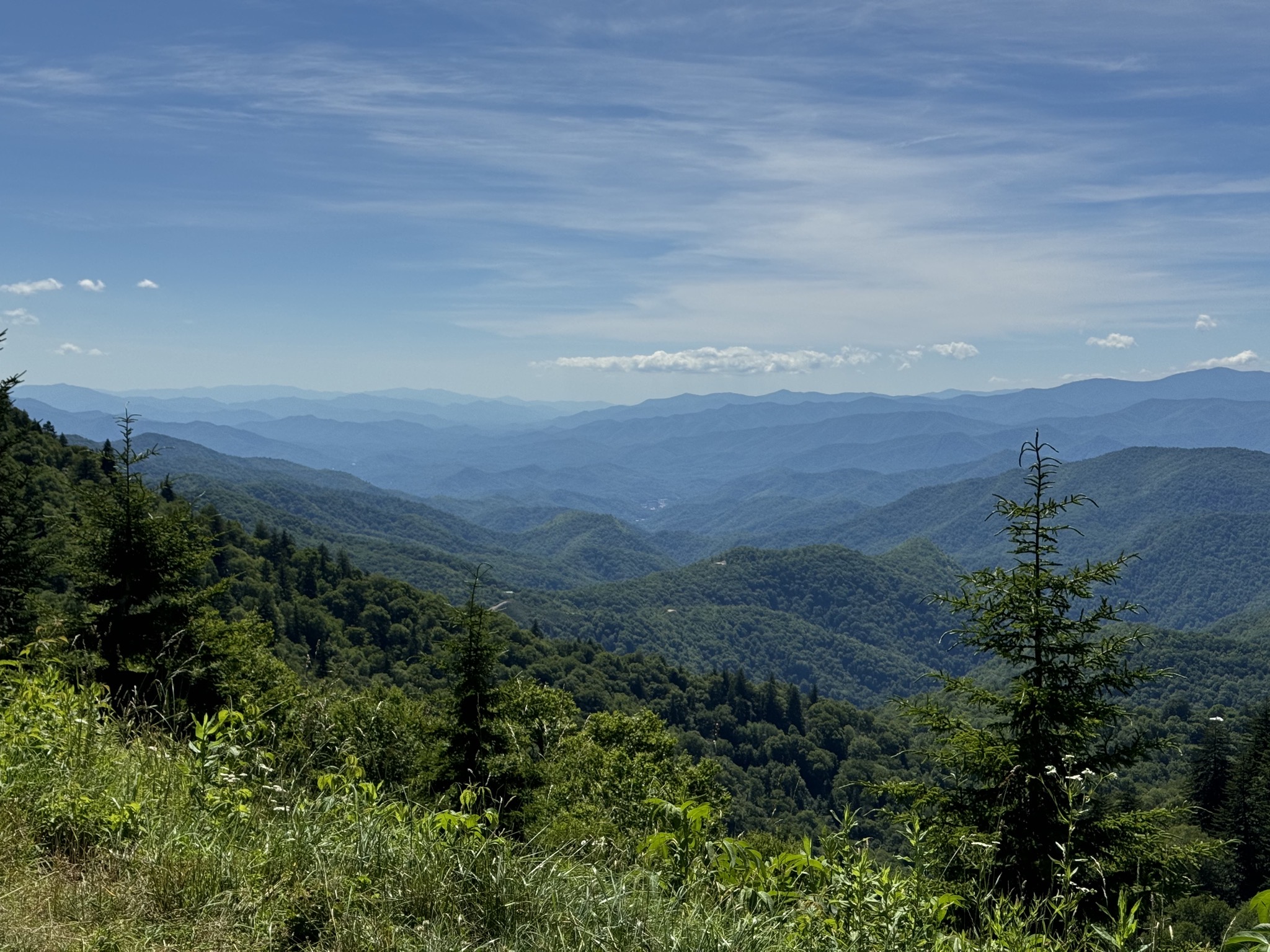 View