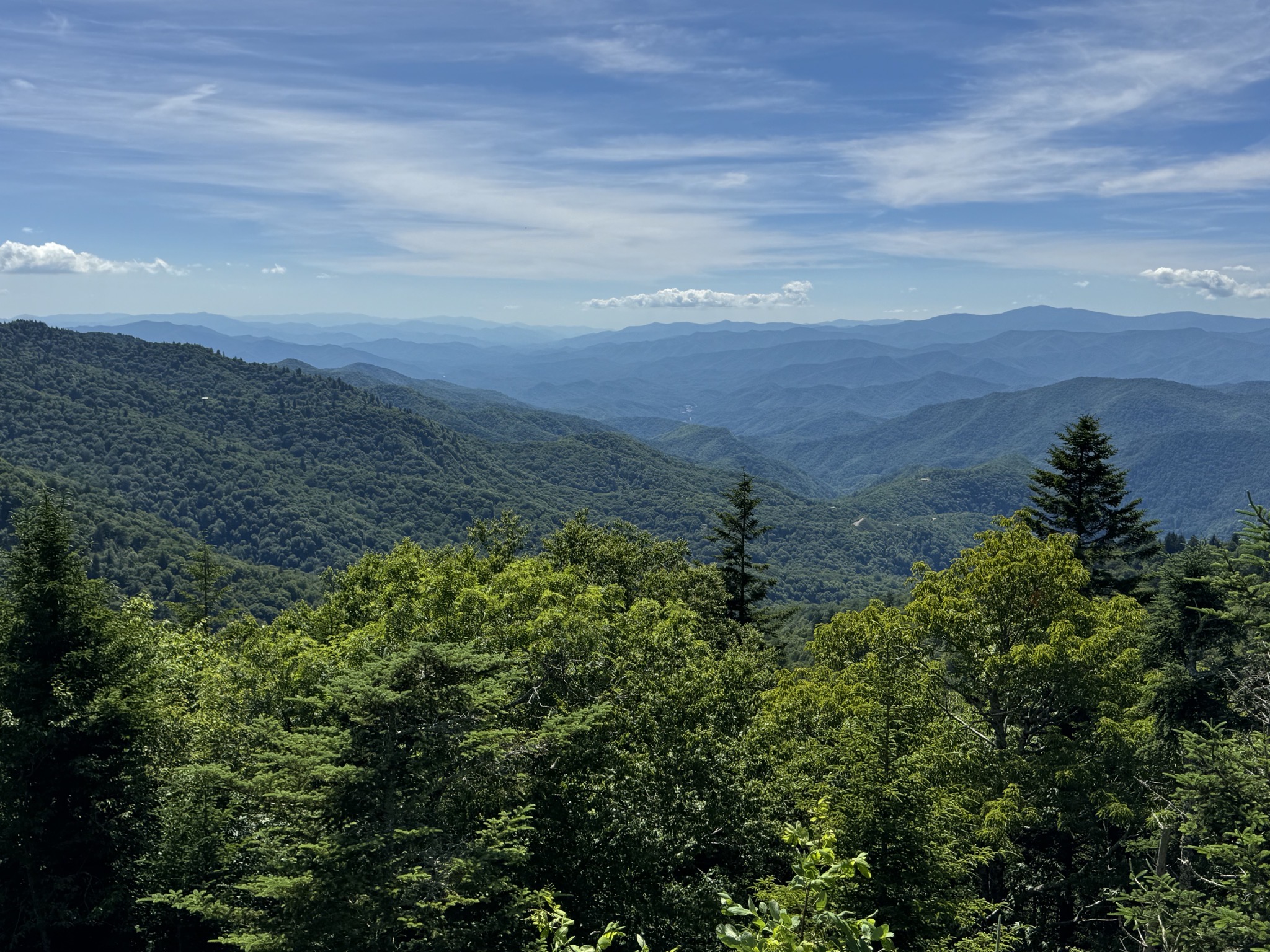 View