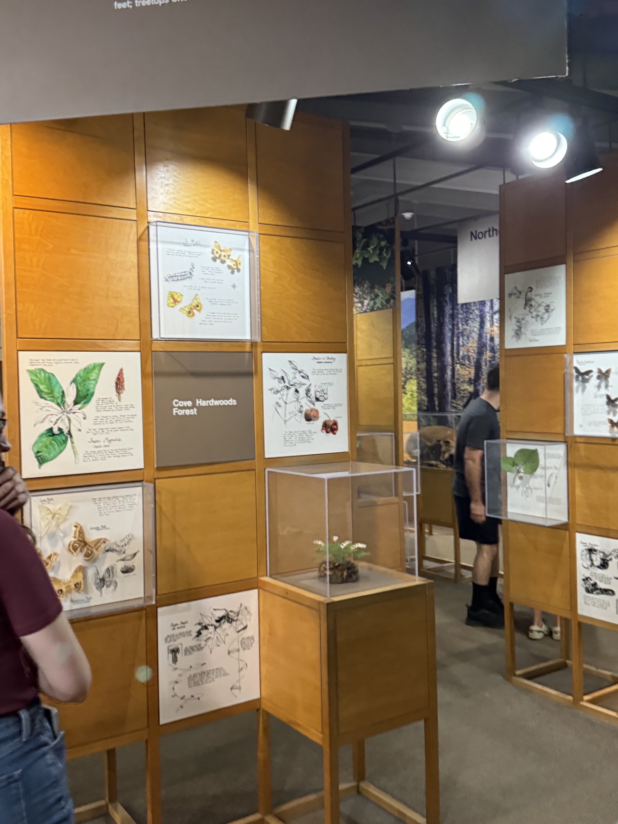 Exhibits