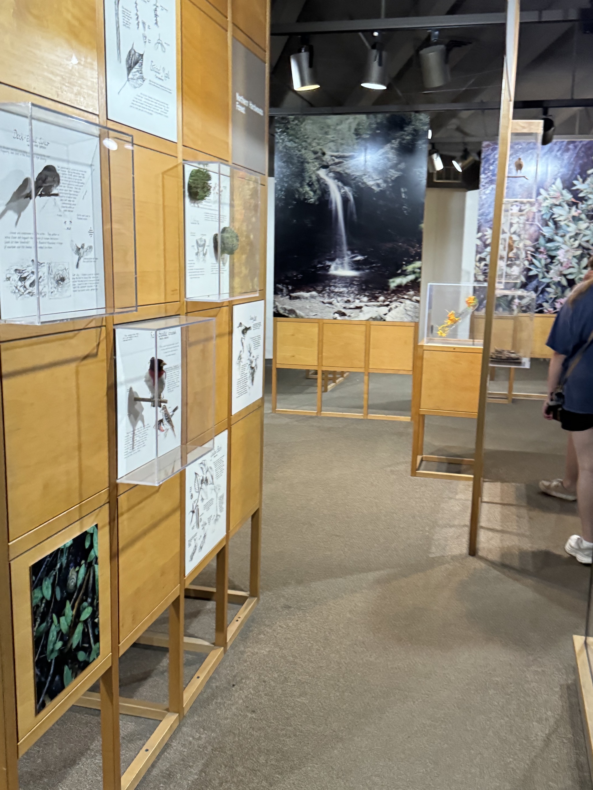 Exhibits