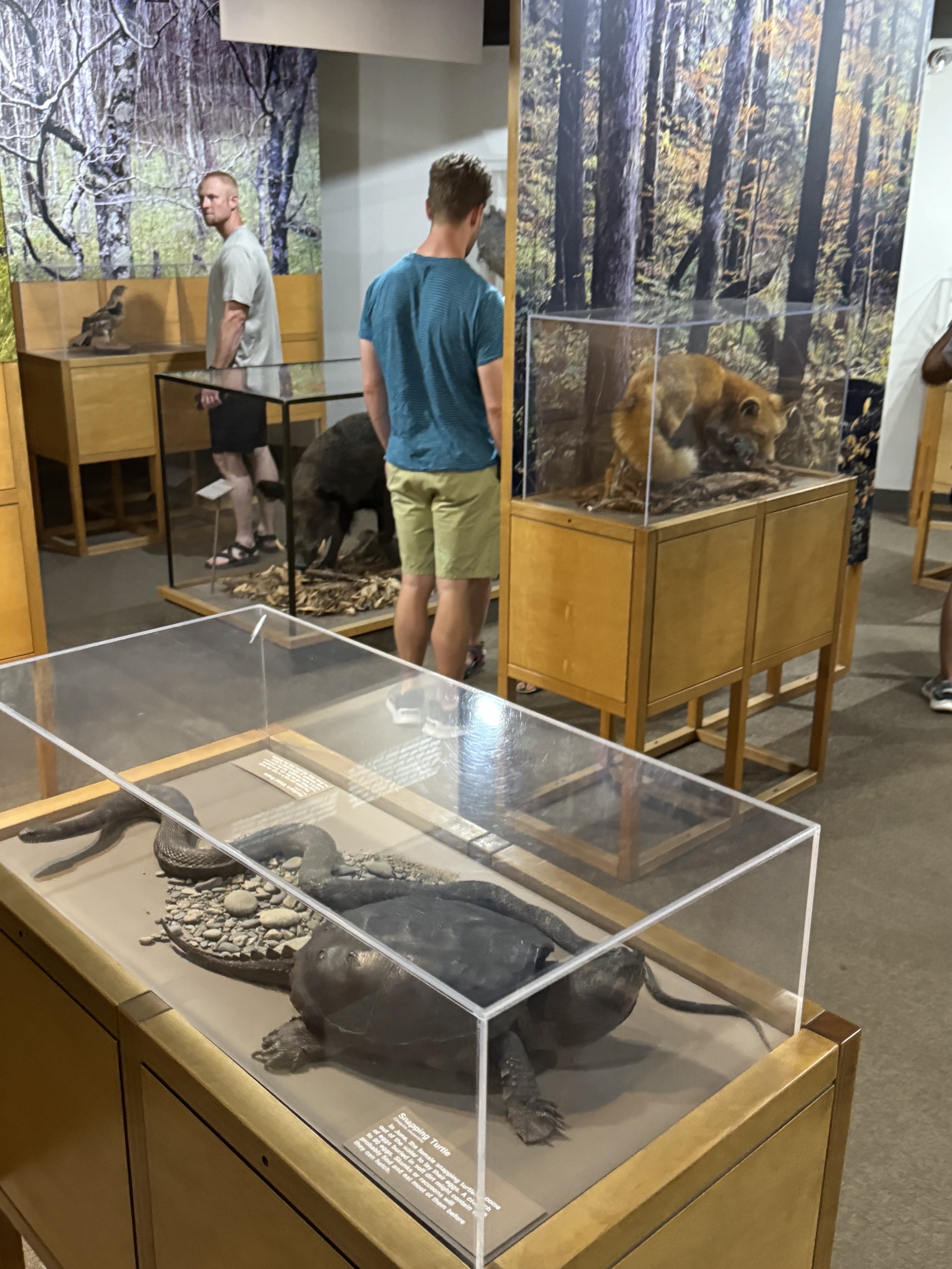 Exhibits