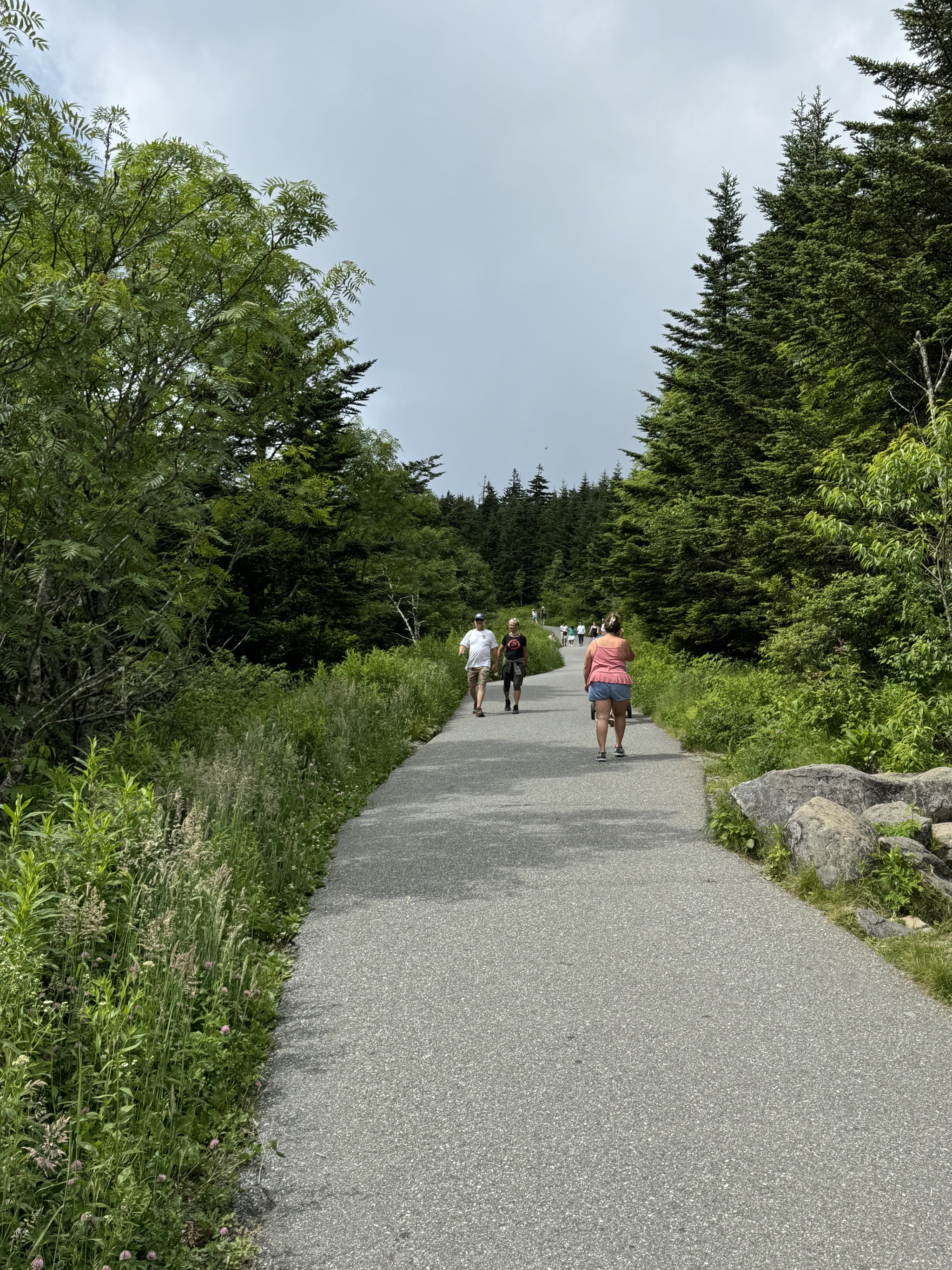 Path to lookout