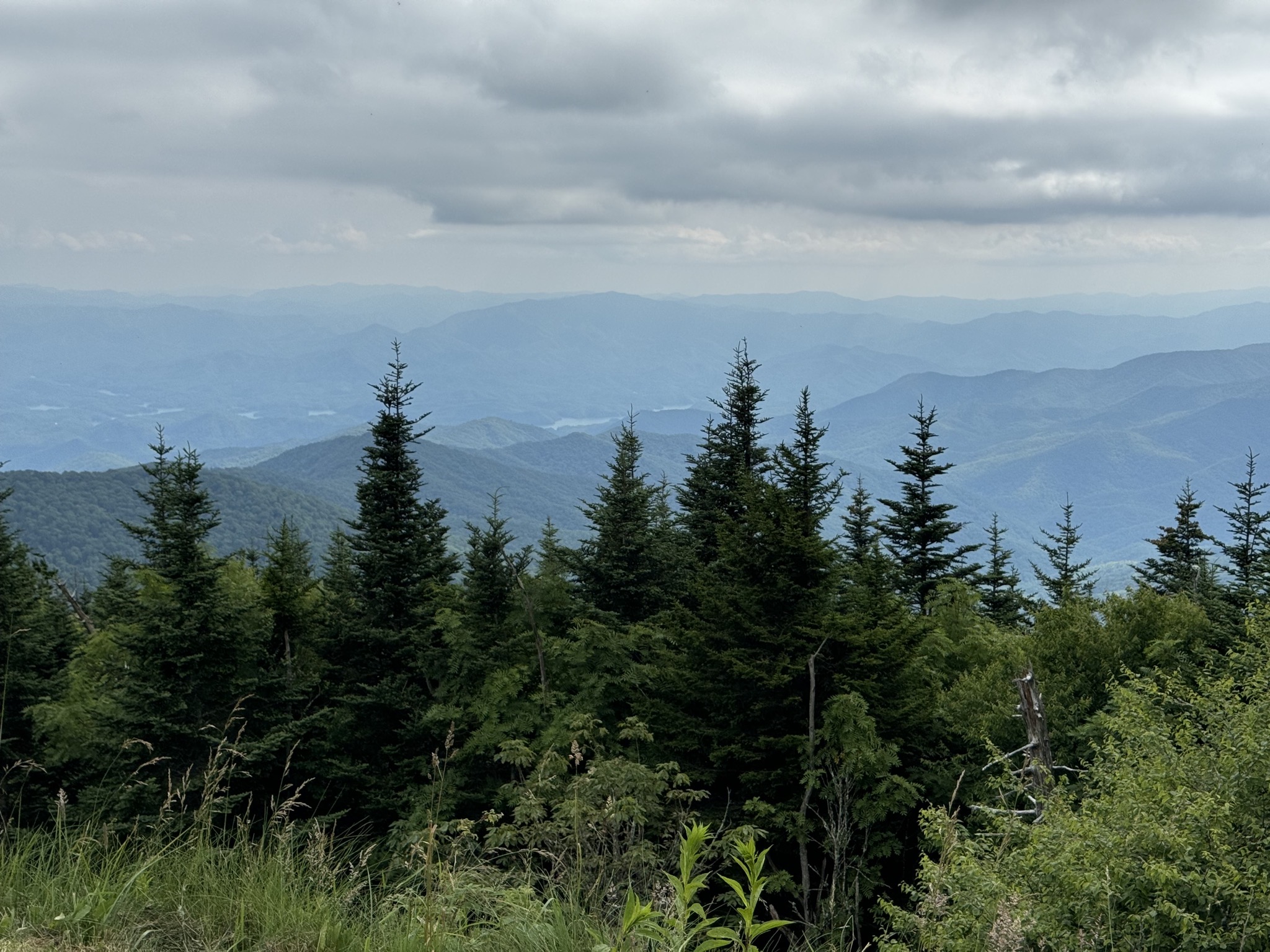 View