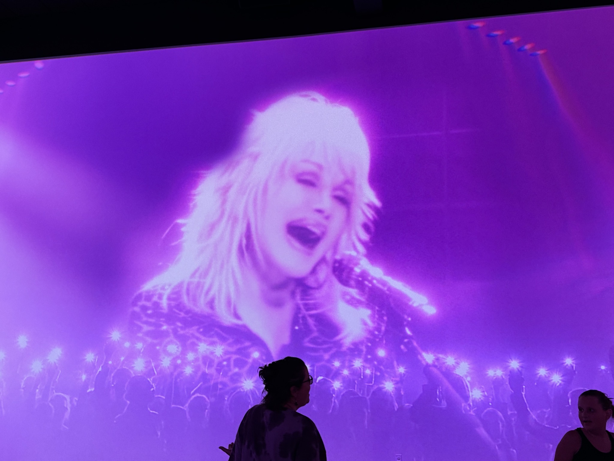 The Dolly Parton Experience