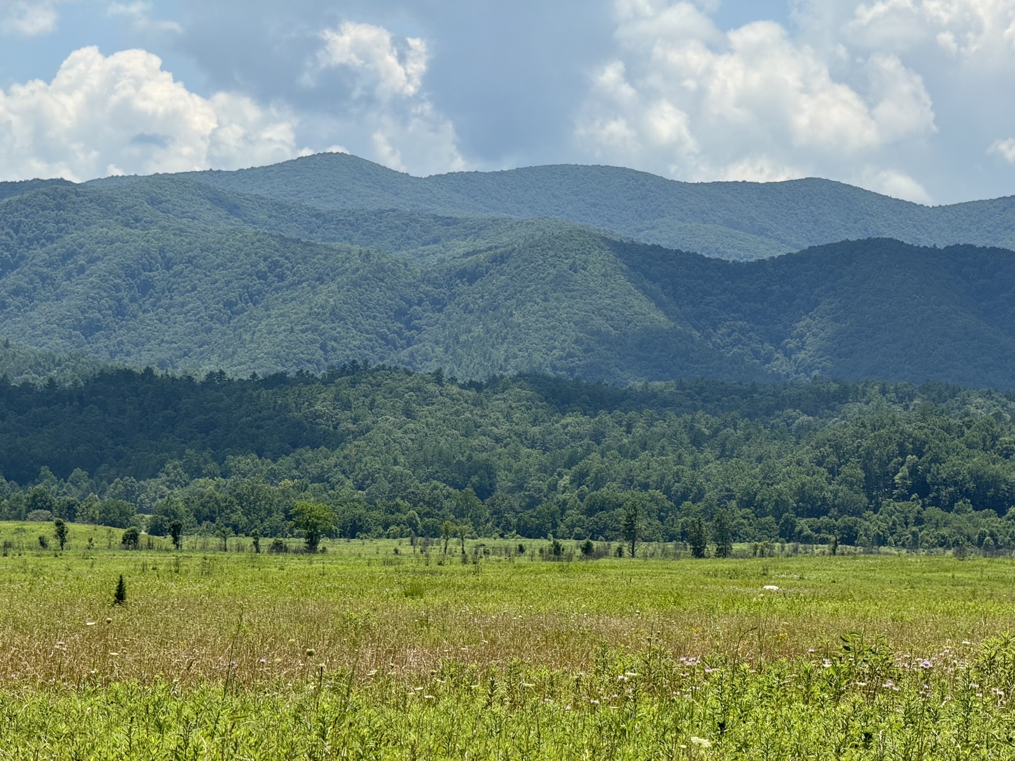 View