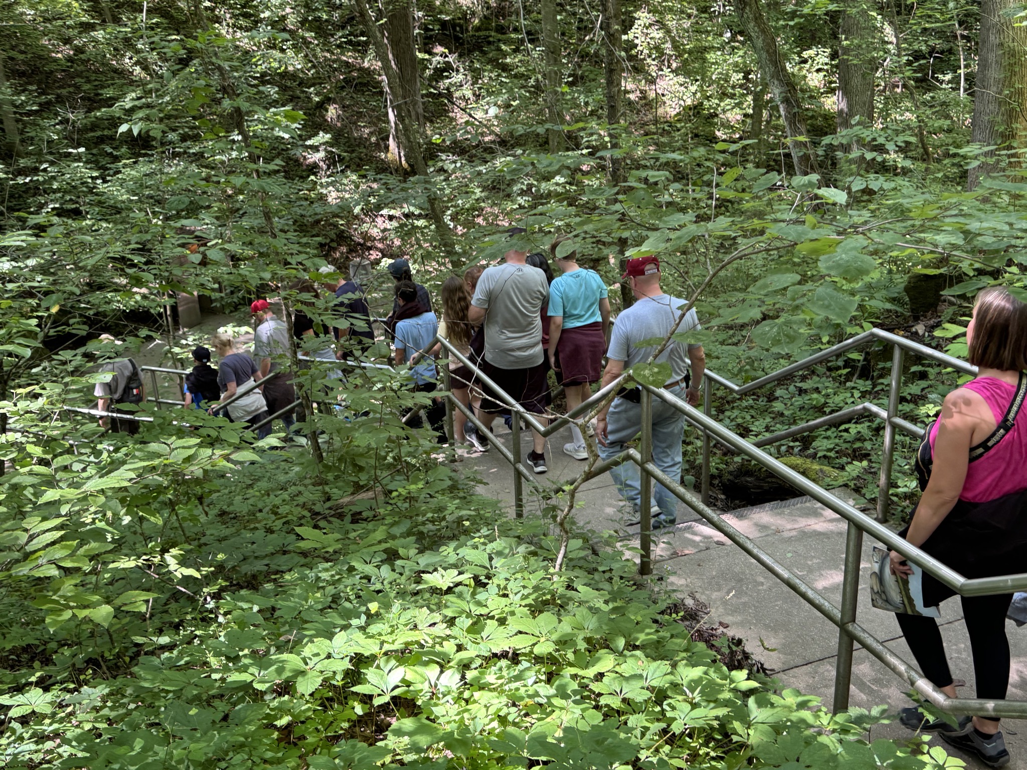 Down into a sinkhole