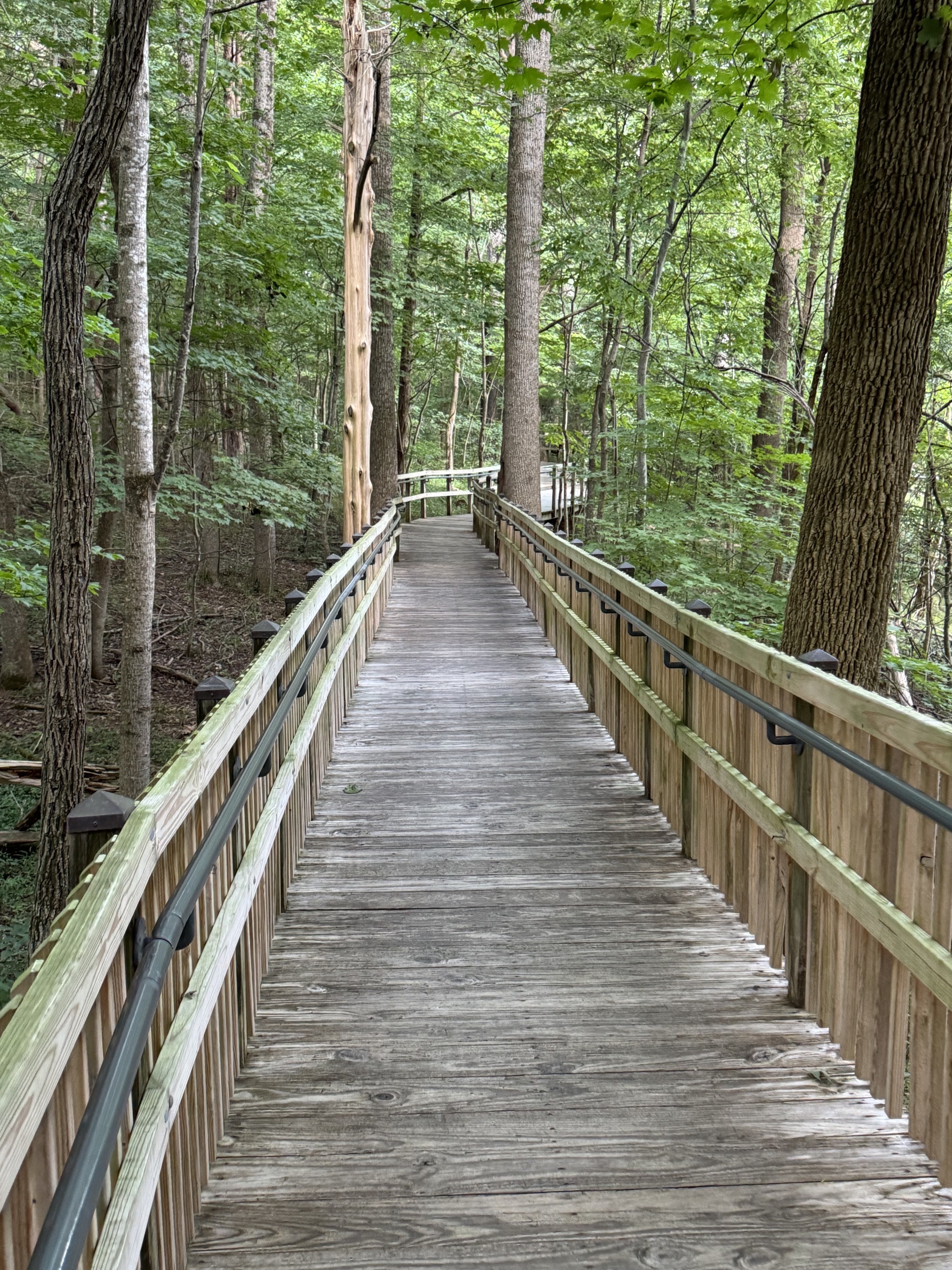 Boardwalk to visitor center
