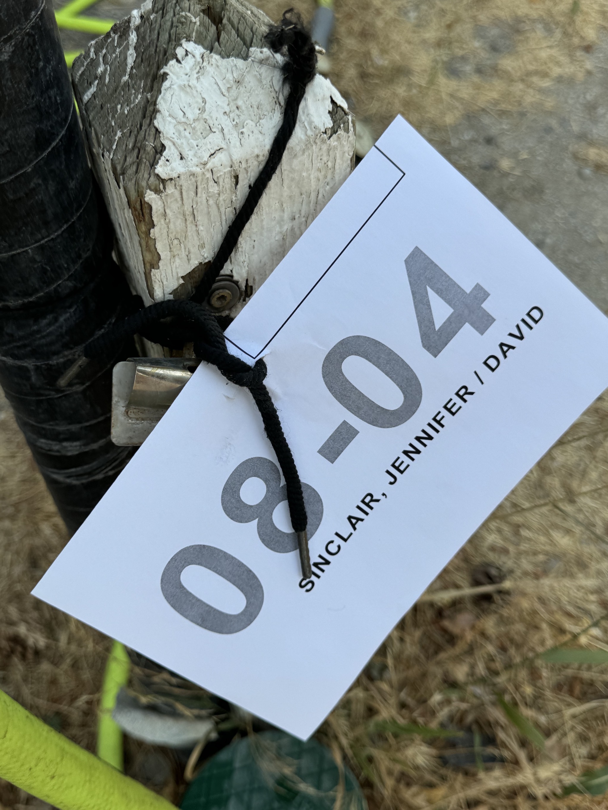 Shoelose to attach tag