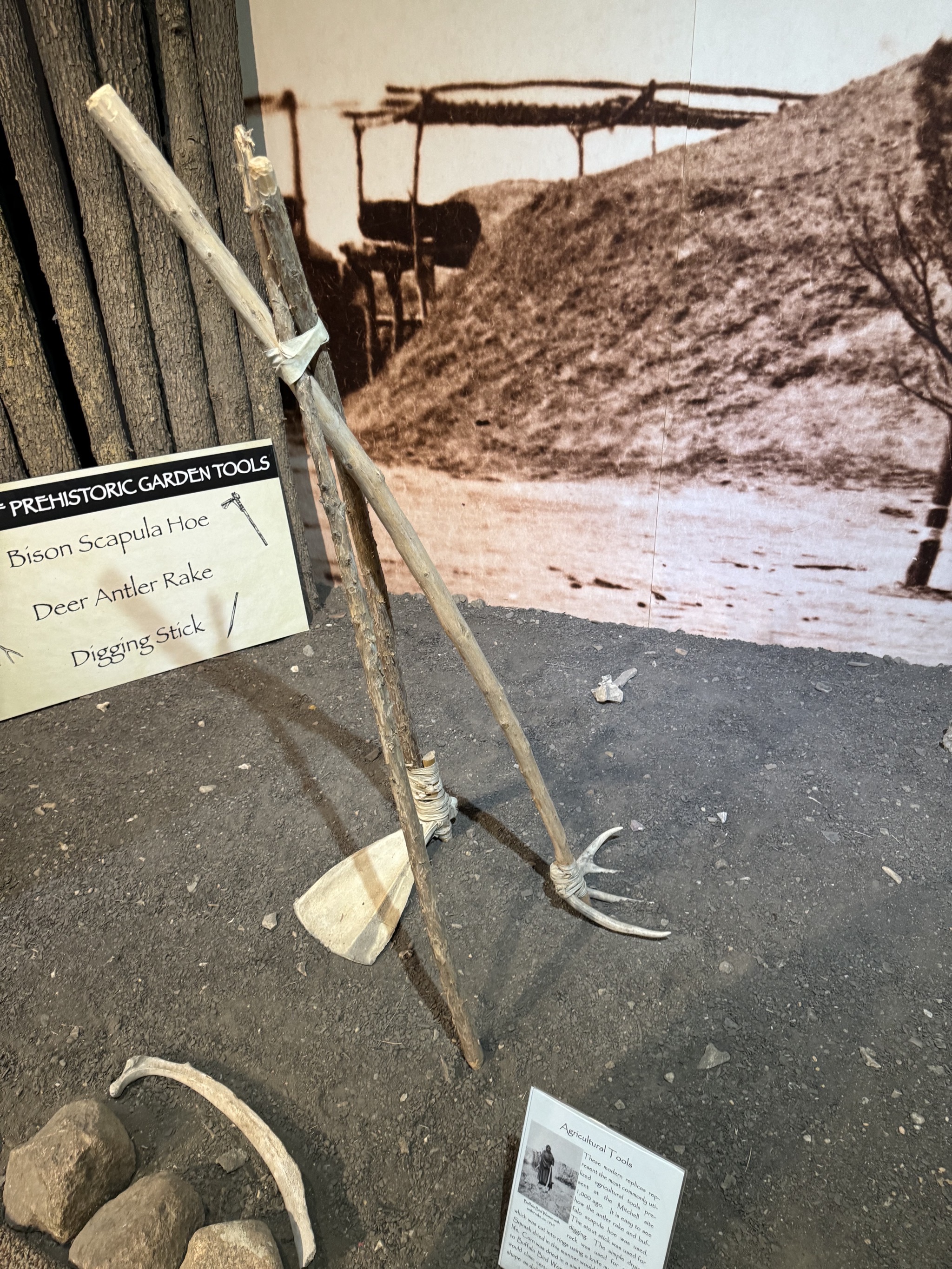 Exhibits