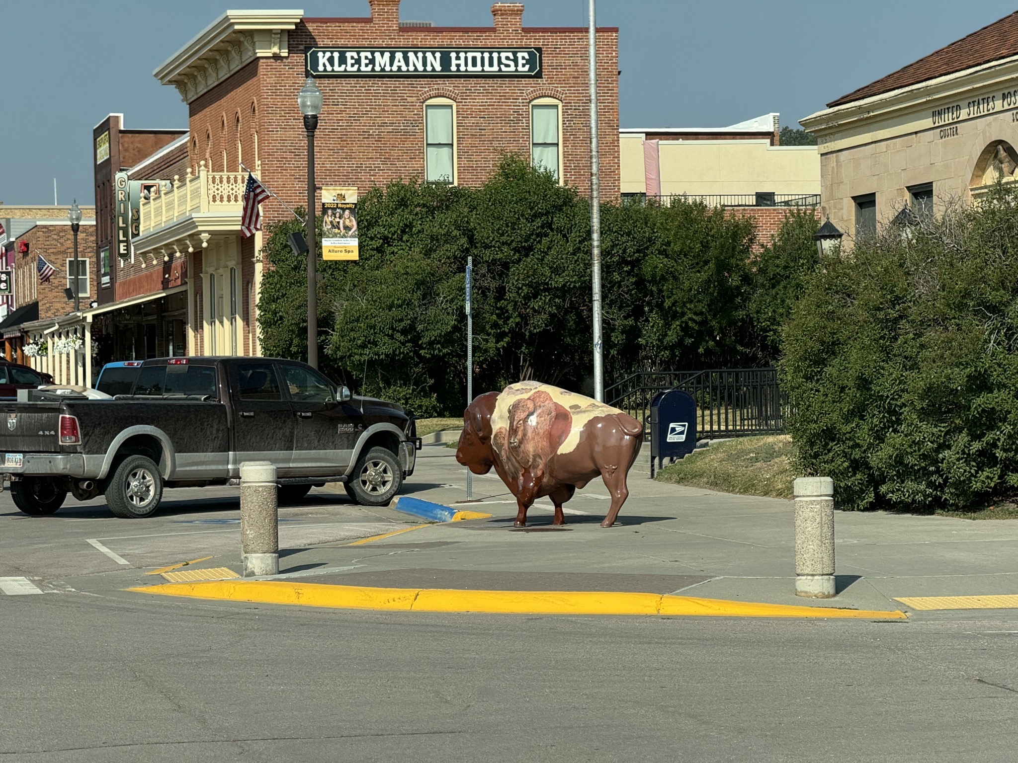 Buffalo art in Custer