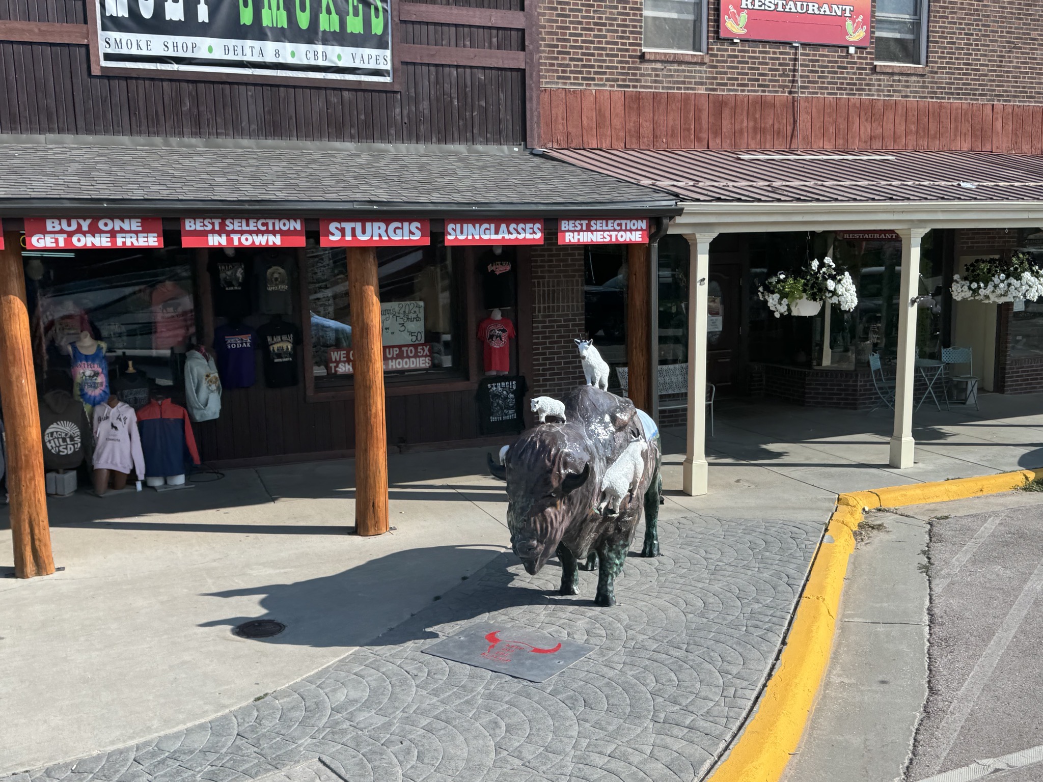 Buffalo art in Custer