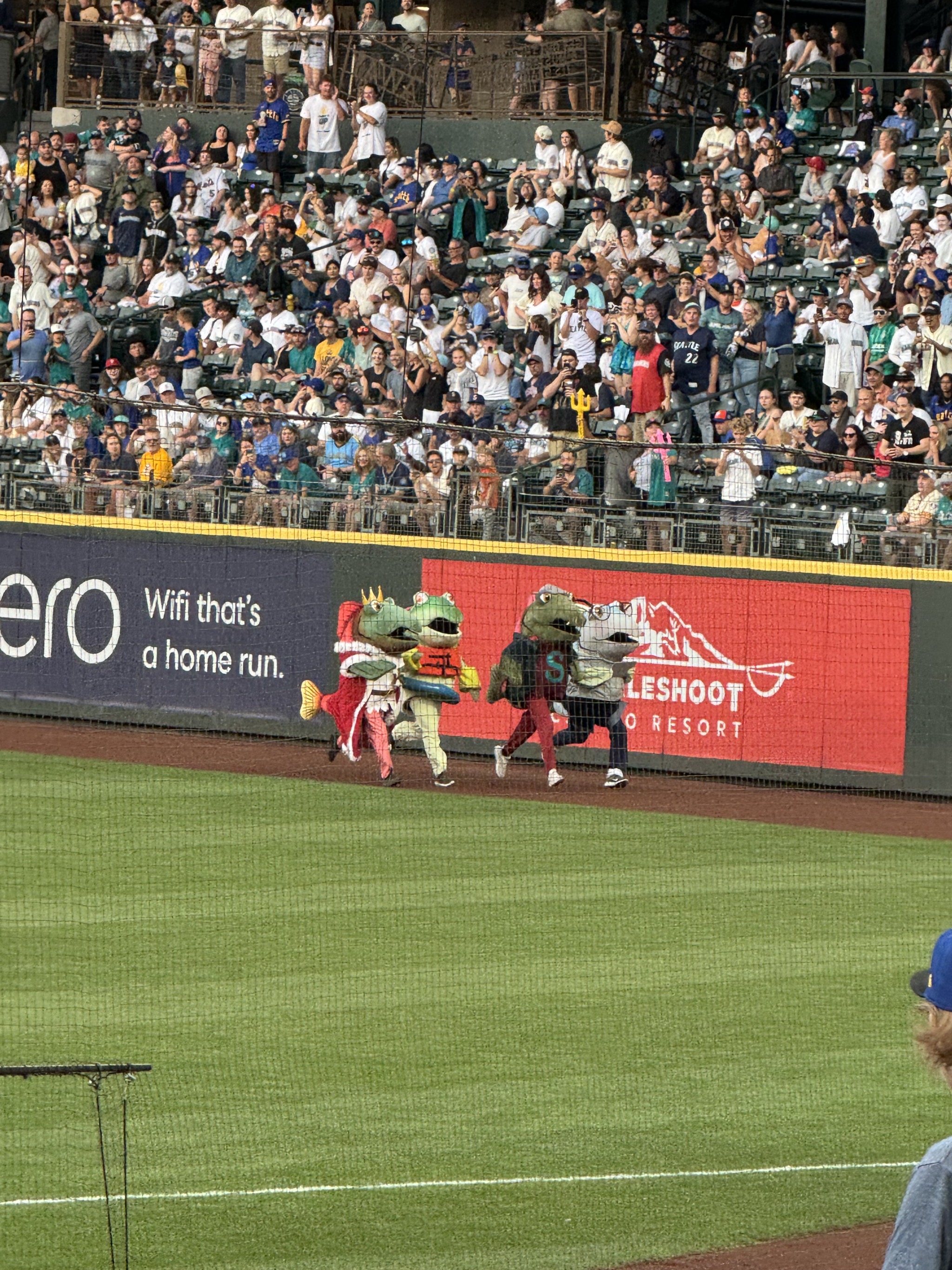 Fish race