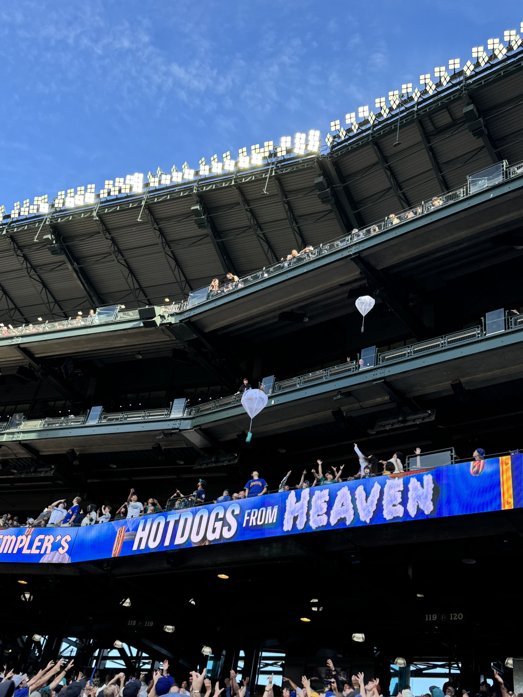 Hotdogs from heaven