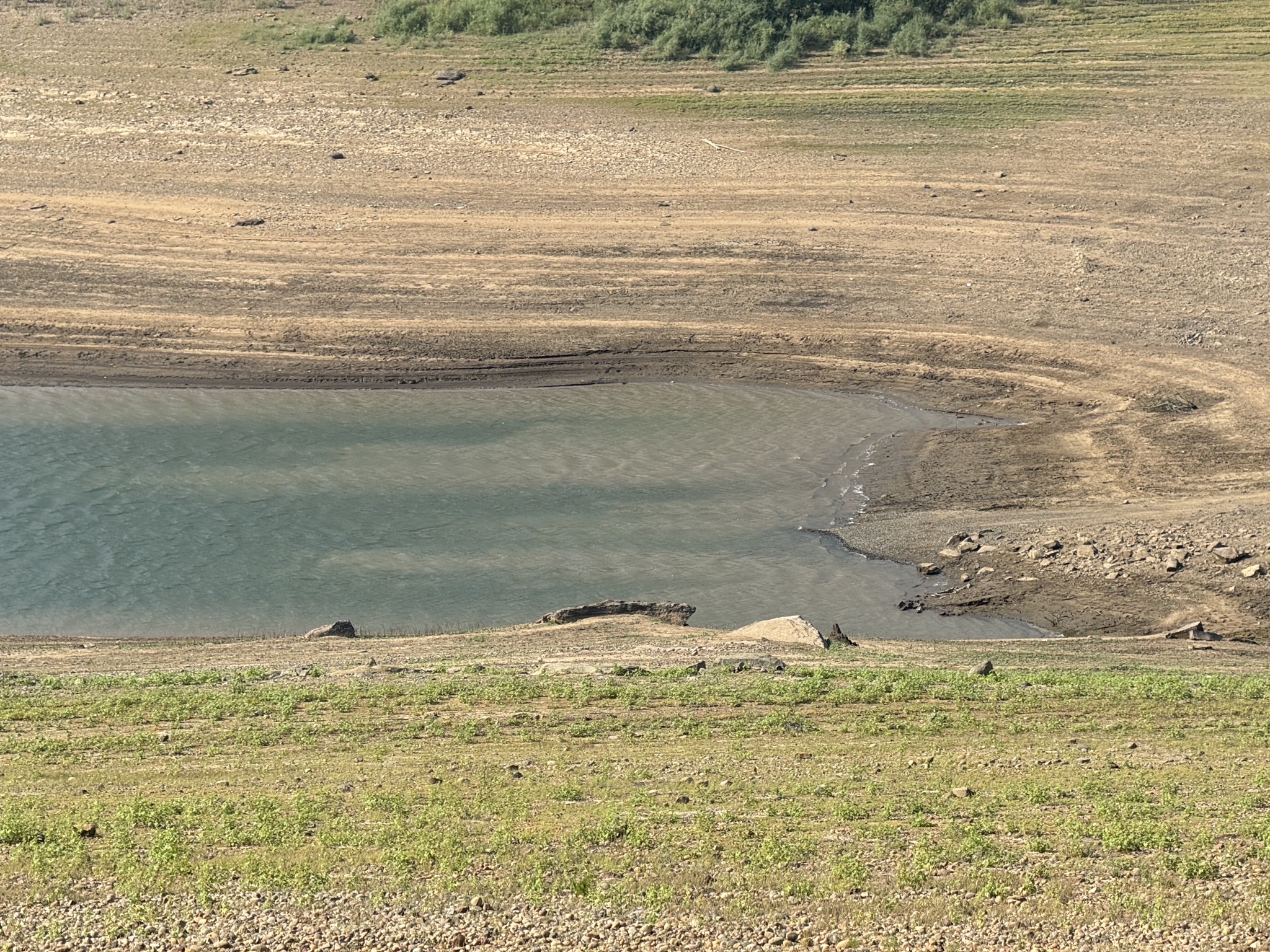 Lake view