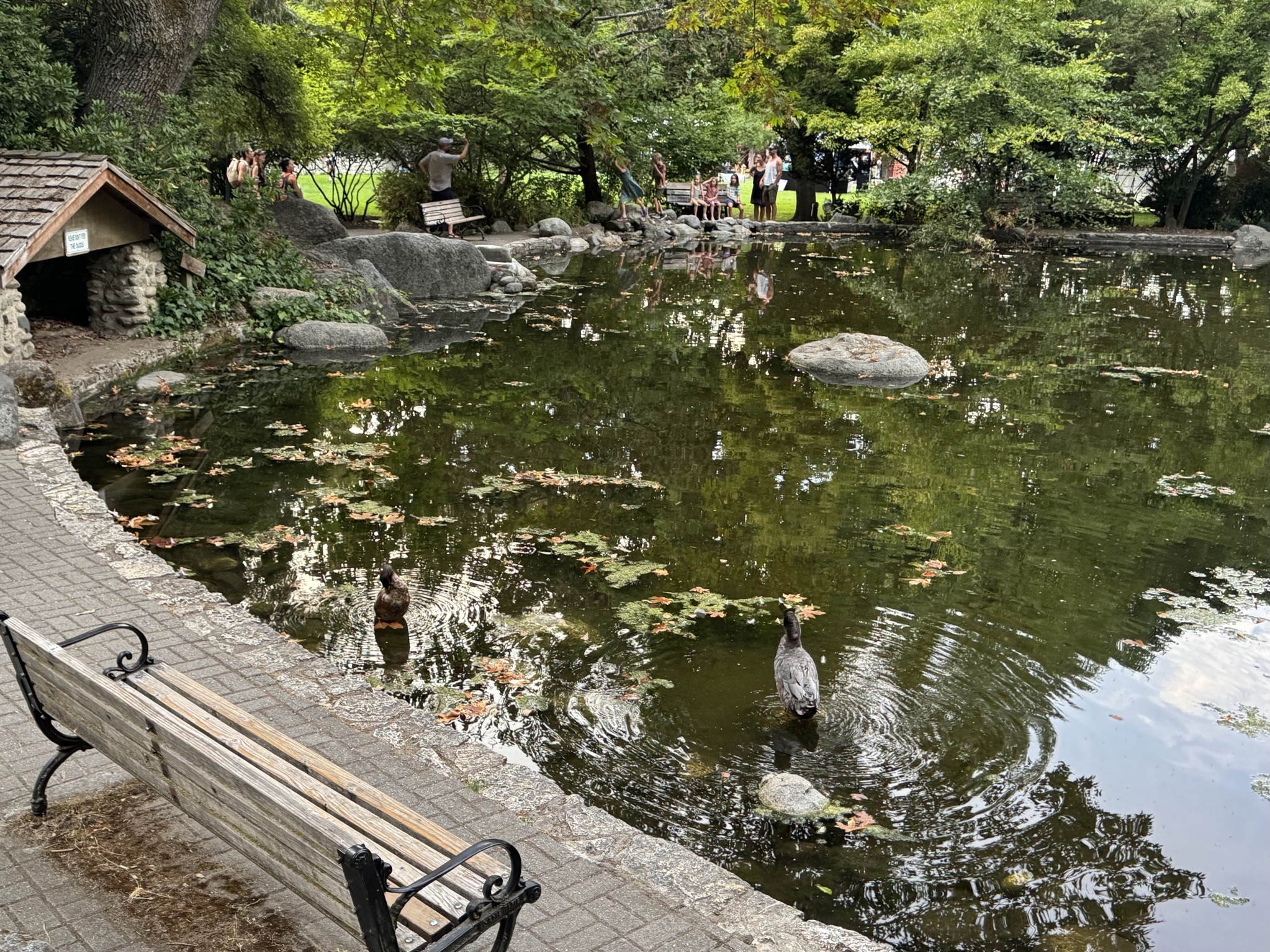 Lithia Park pond