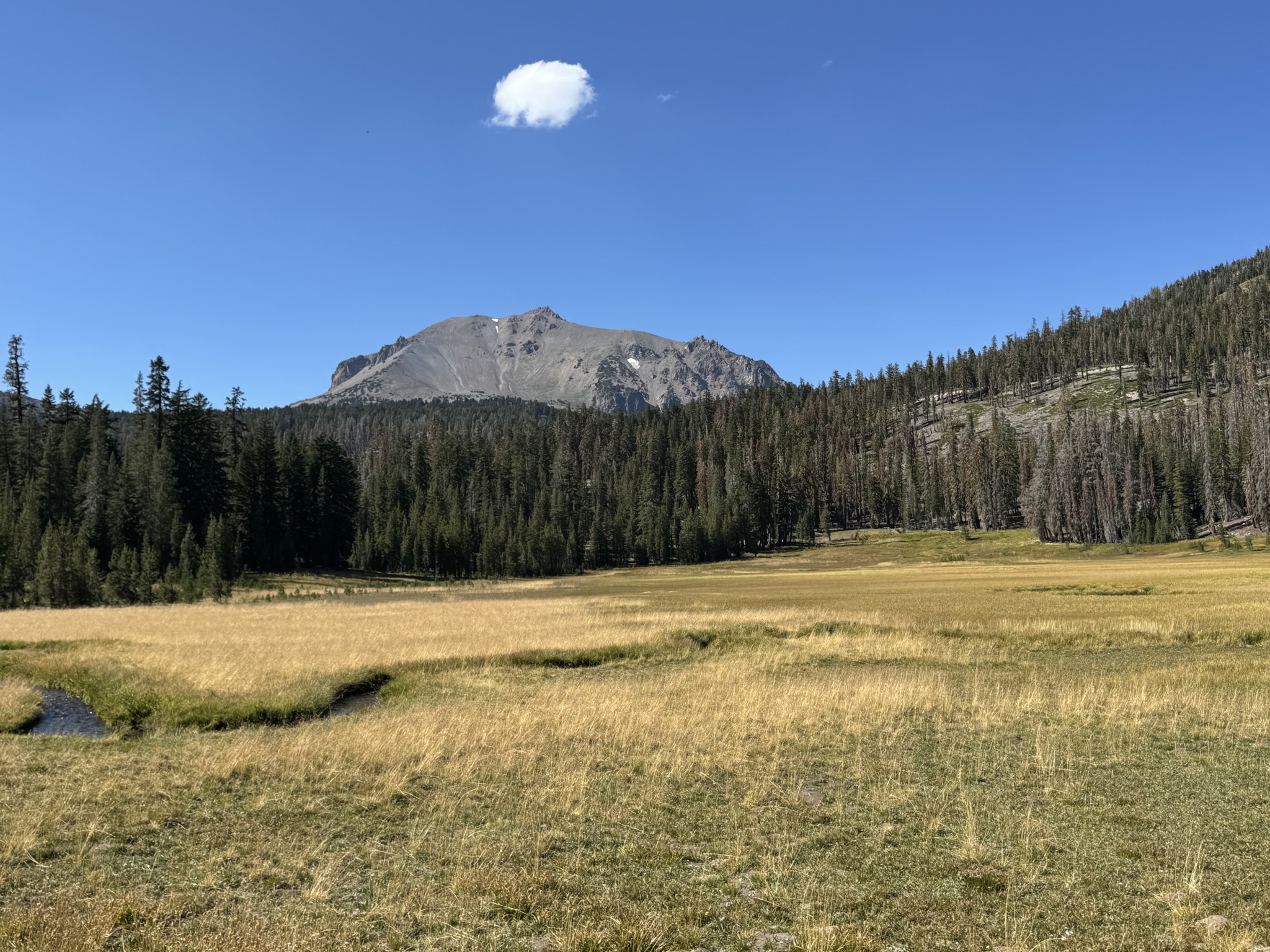 Lassen