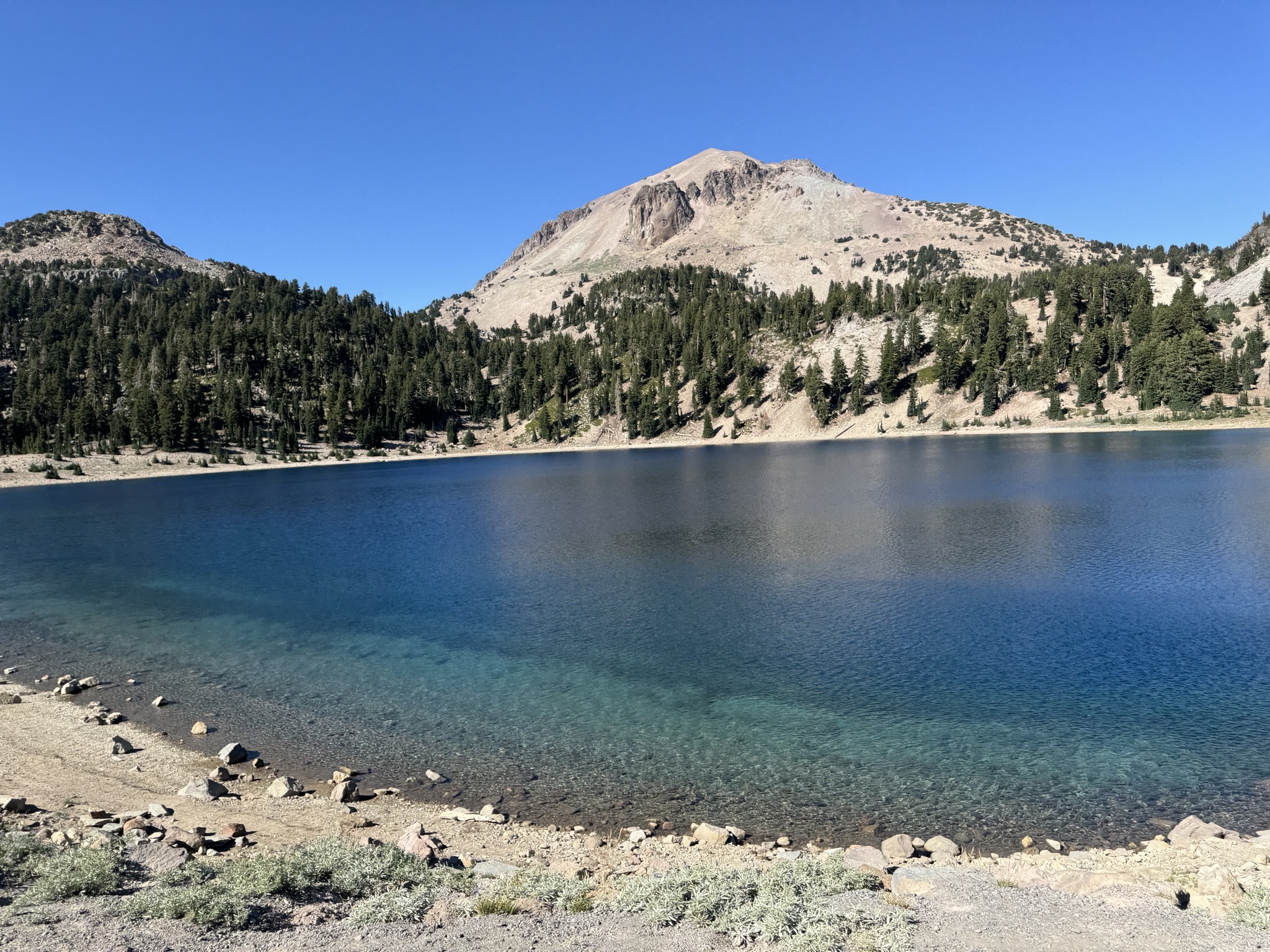 Lassen