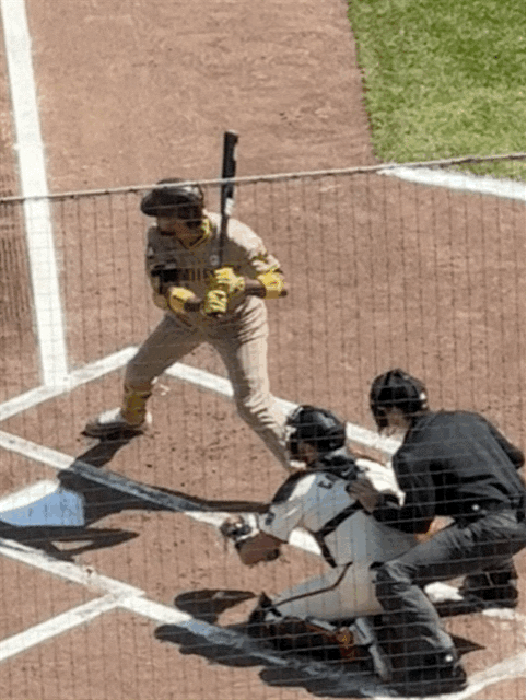 Batting