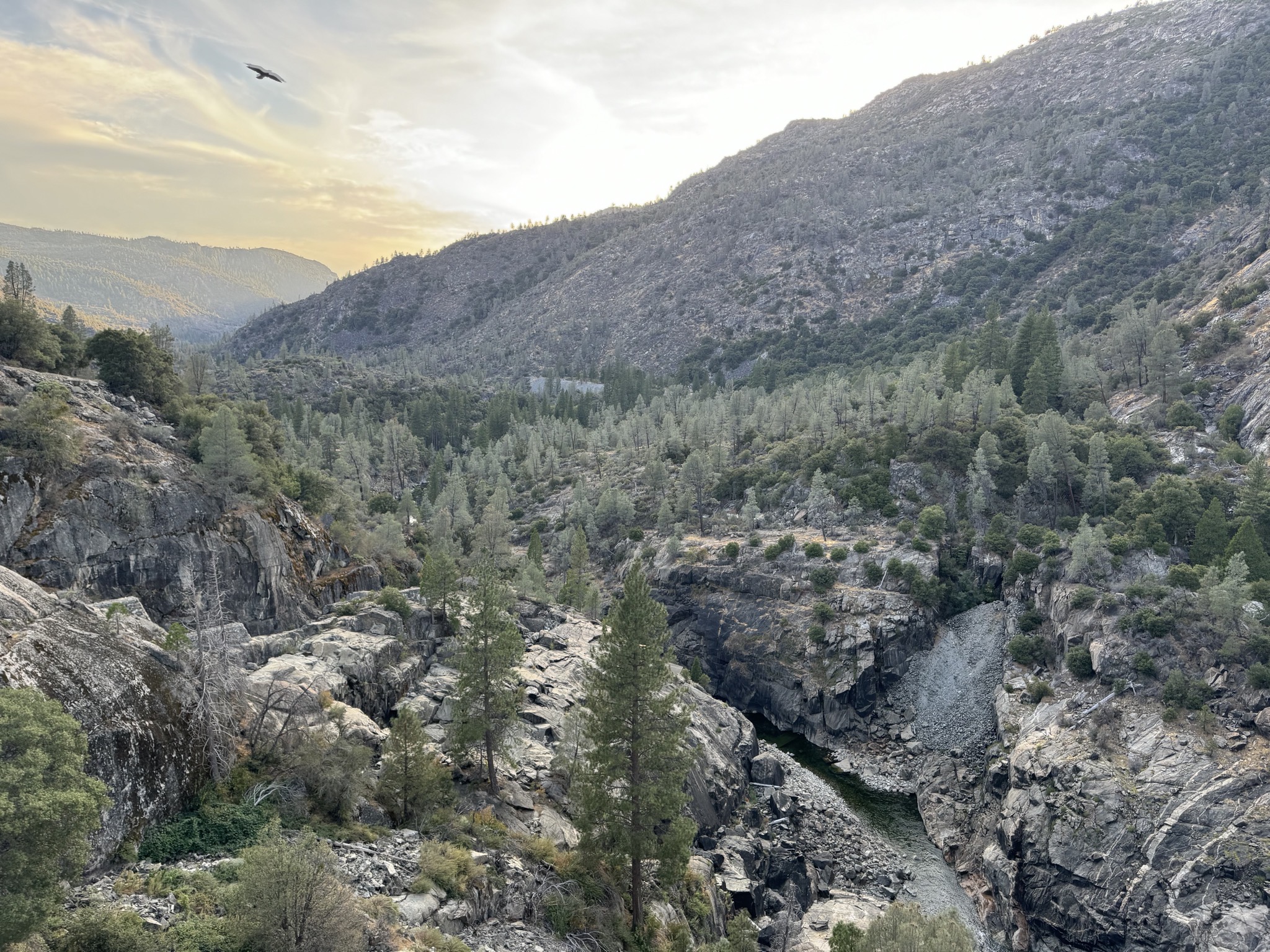 Hetch Hetchy dam