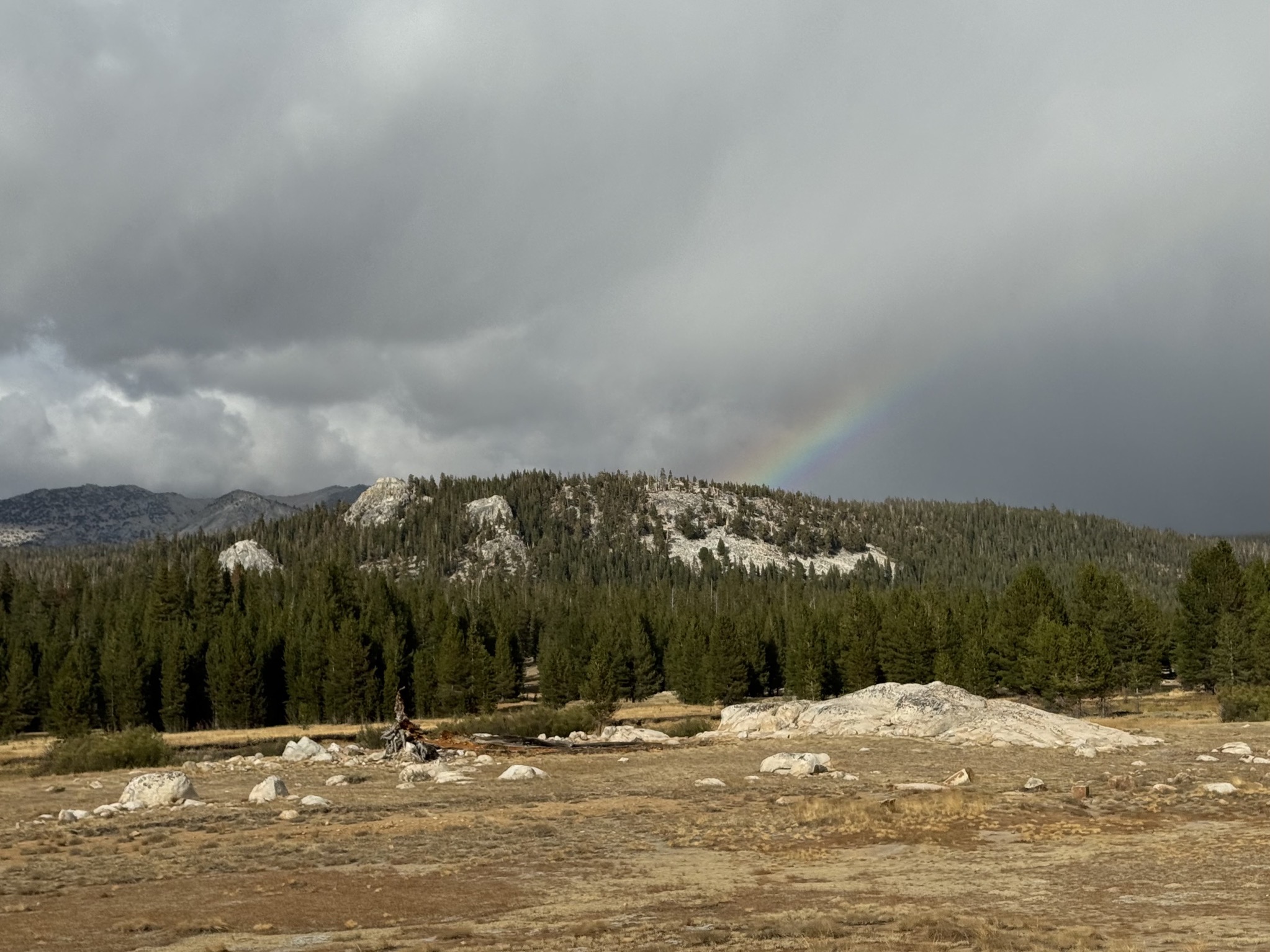 Tuolumne Meadow and a rainbow
