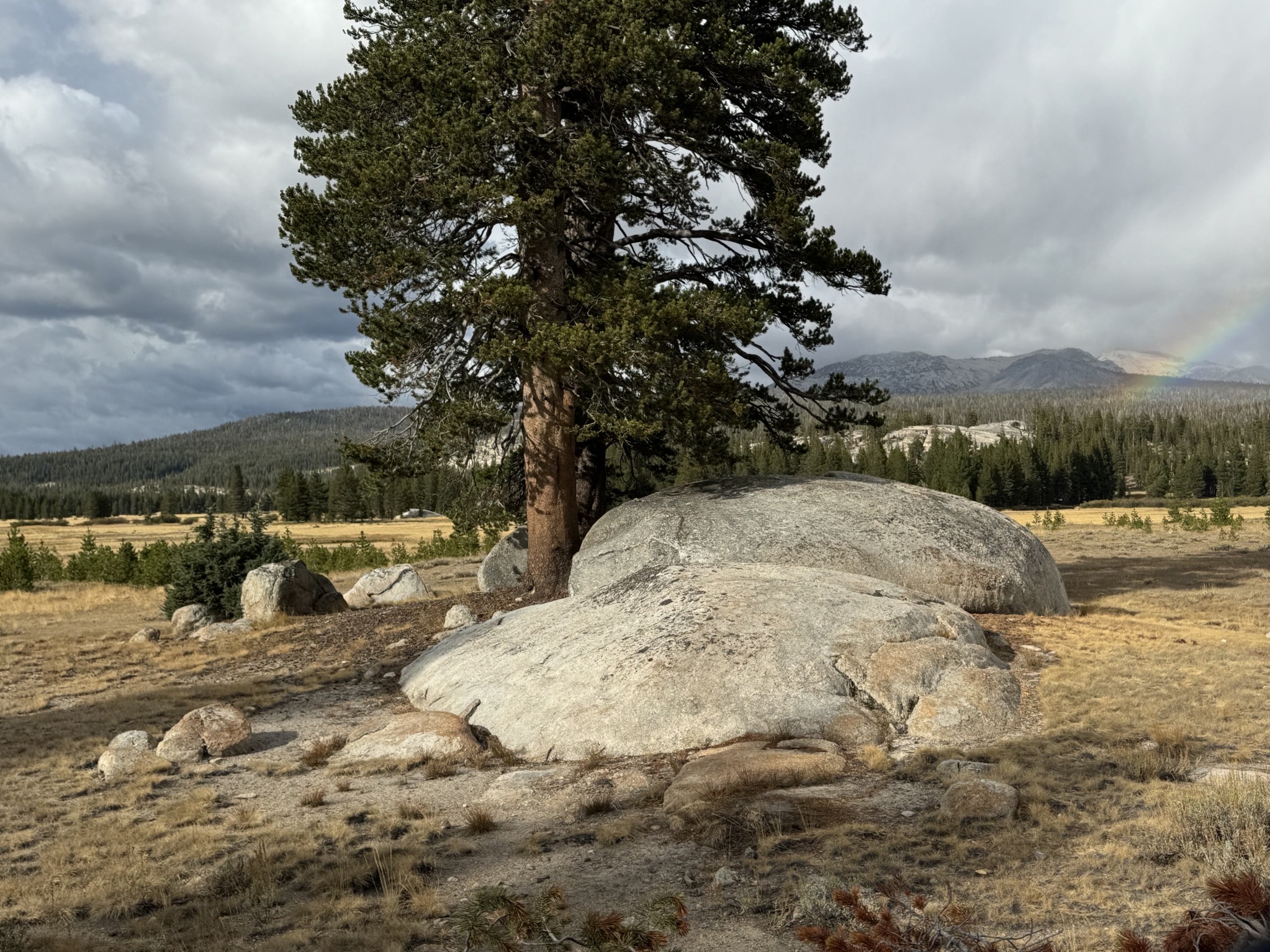 Tuolumne Meadow and a rainbow