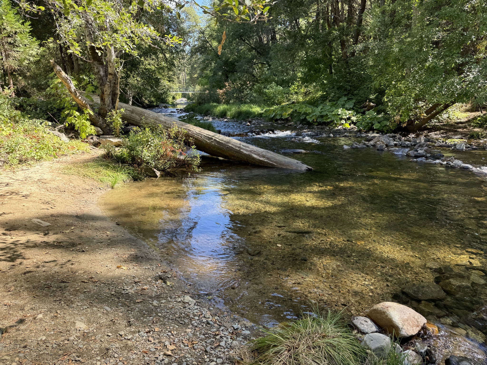 South Fork Tuolumne River
