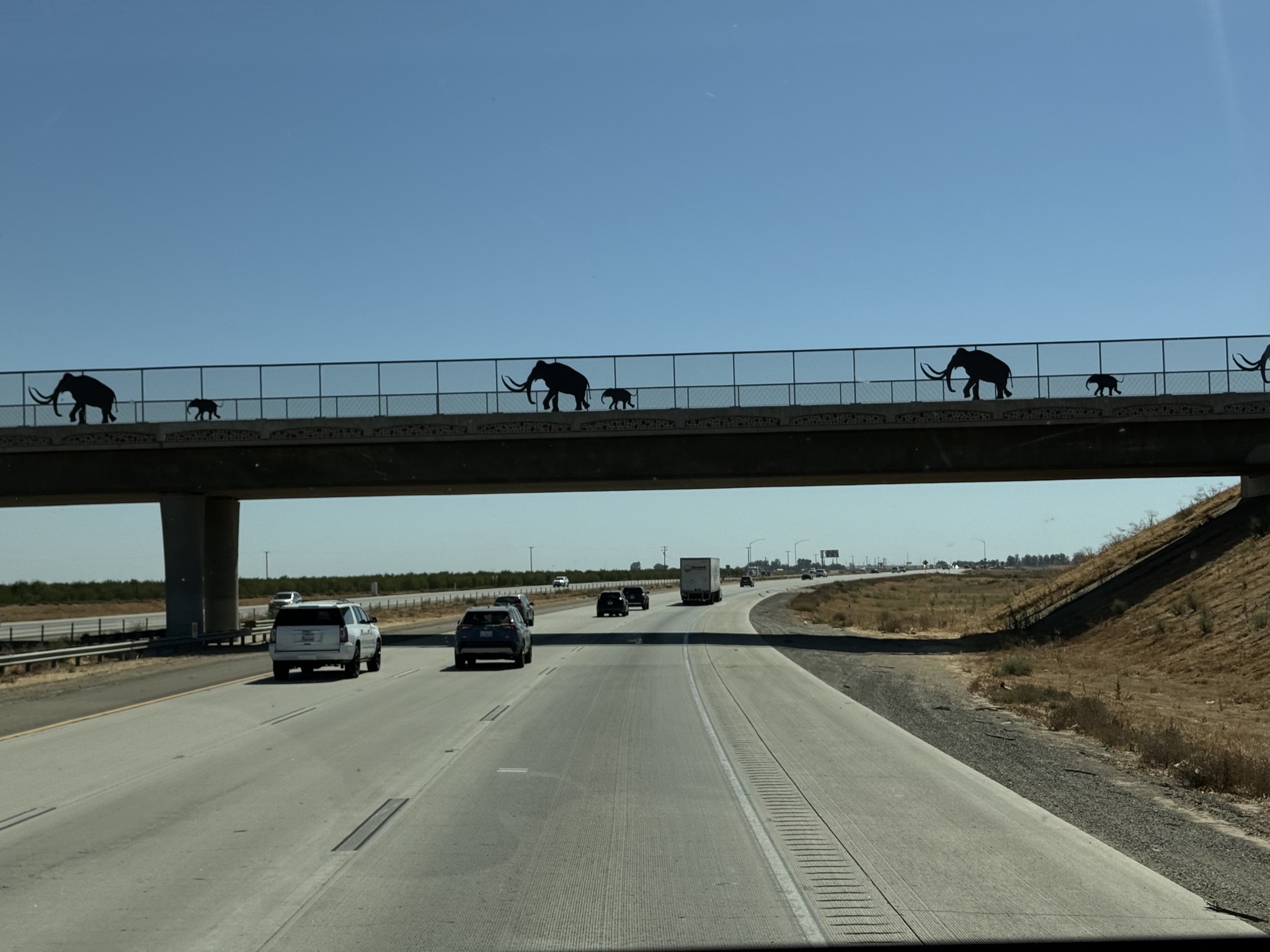 Mammoths on a bridge over CA-99