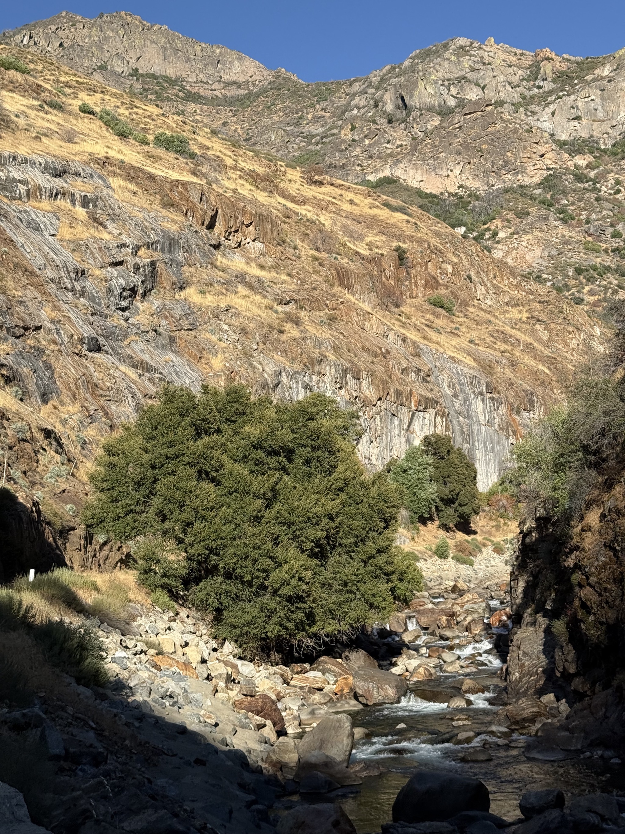 Sequoia National Forest