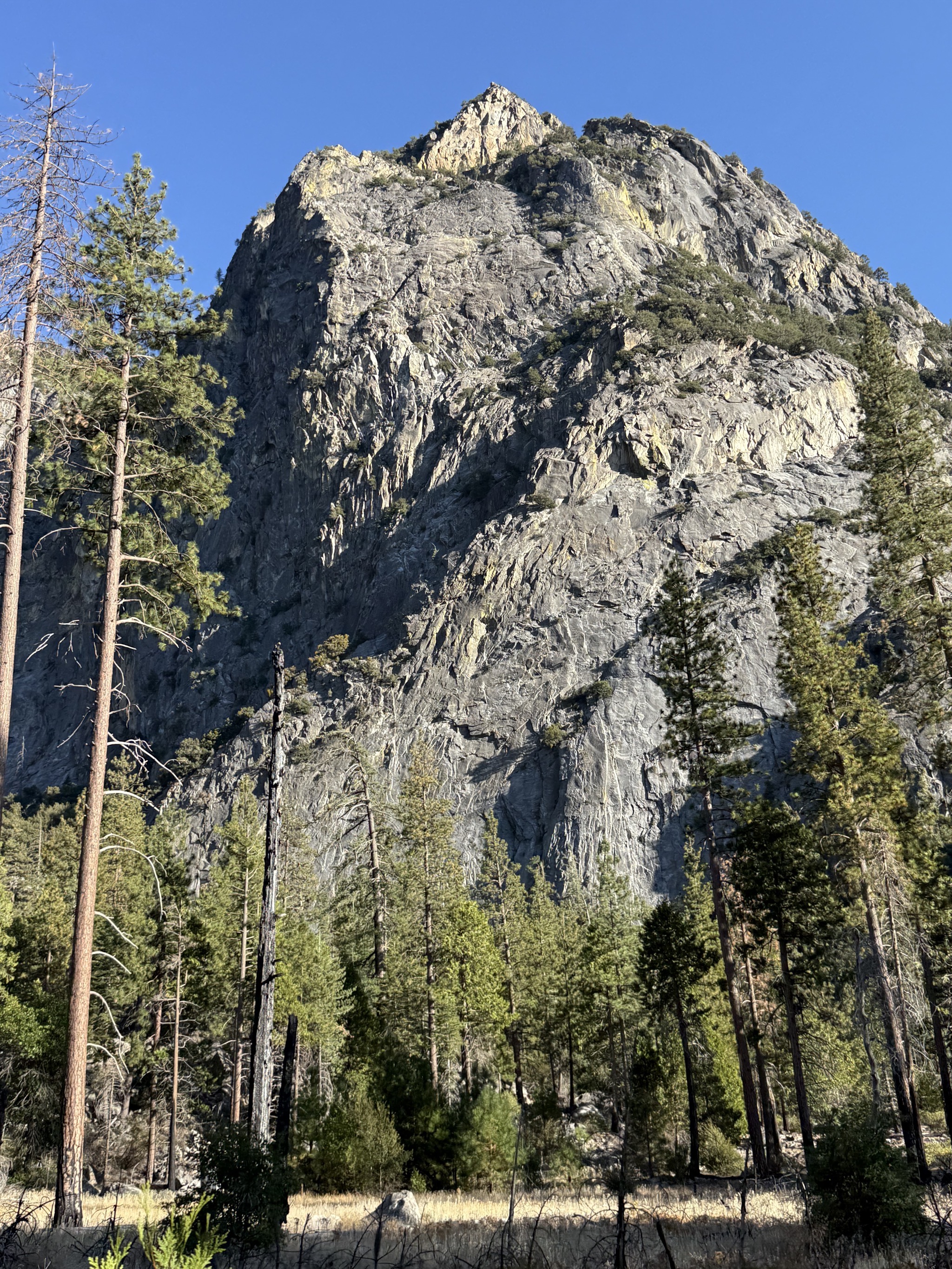 Kings Canyon National Park