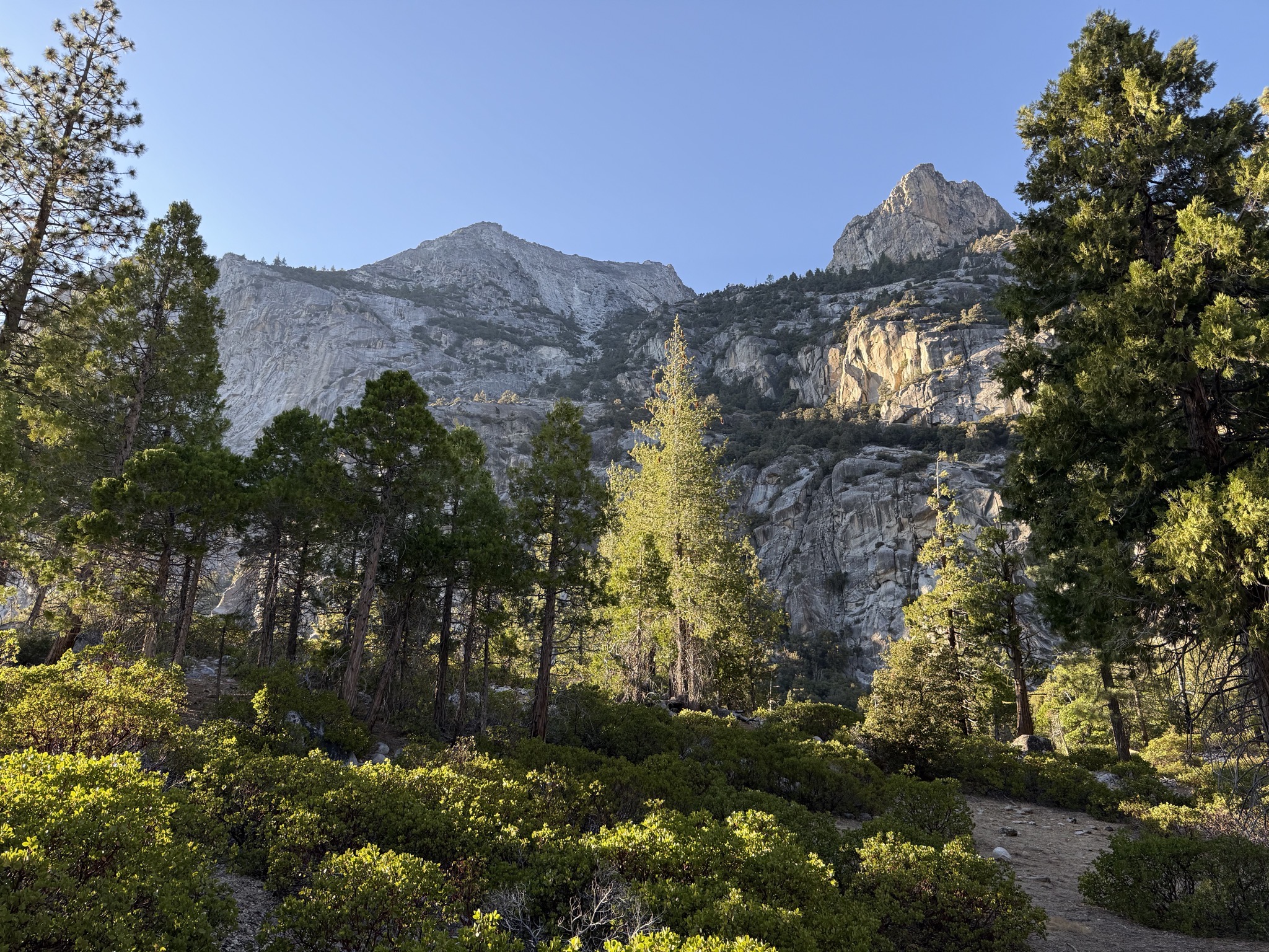 Kings Canyon National Park