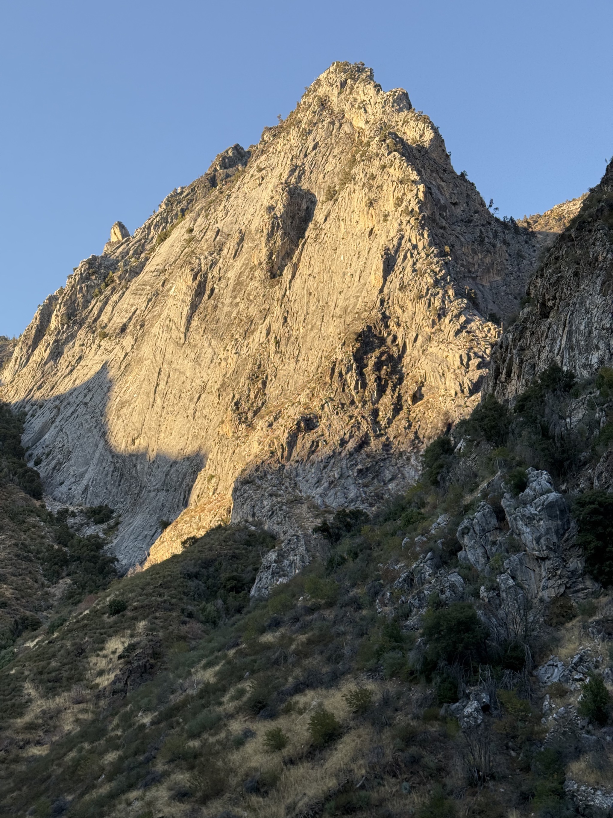 Sequoia National Forest