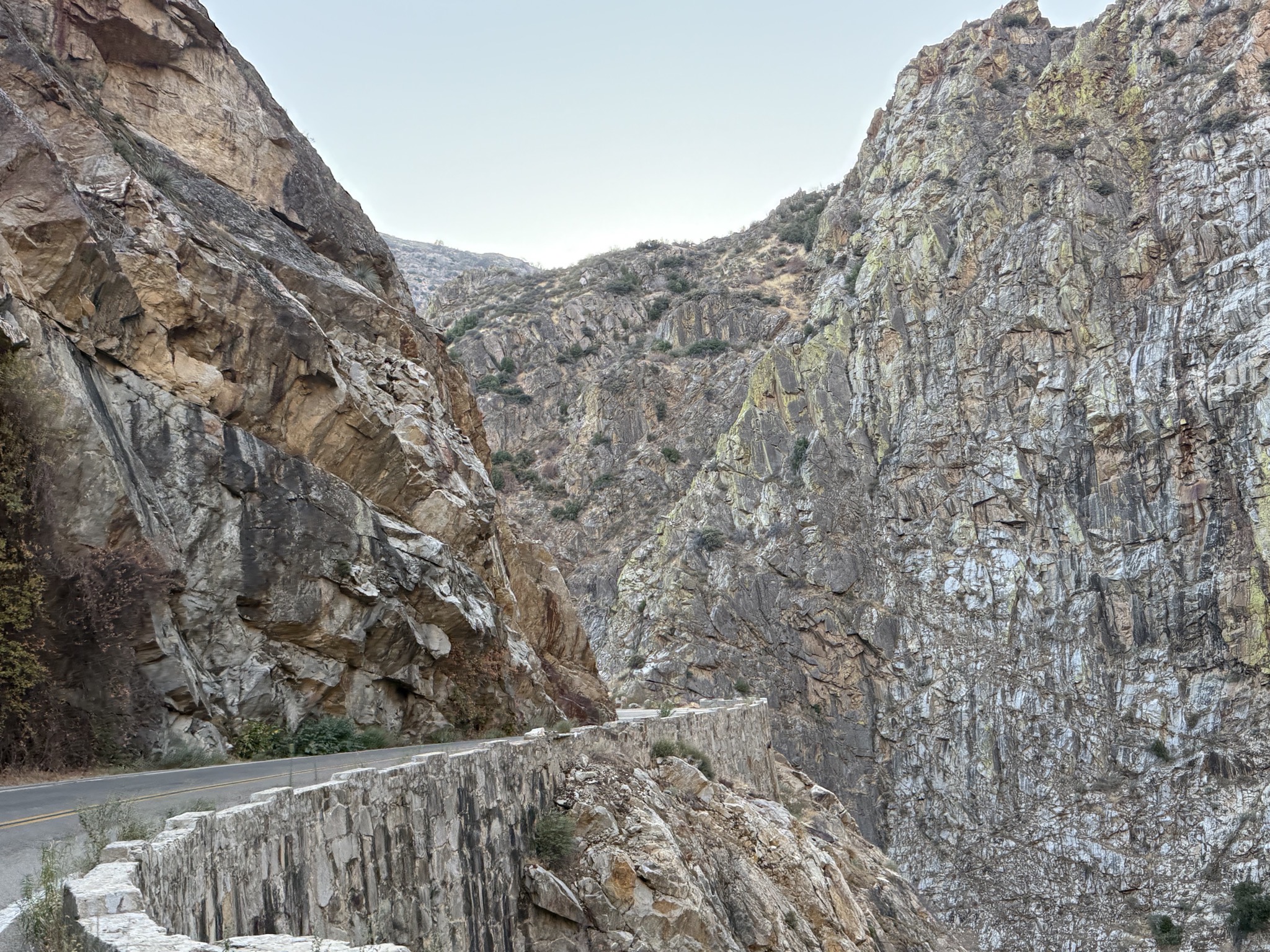Sequoia National Forest