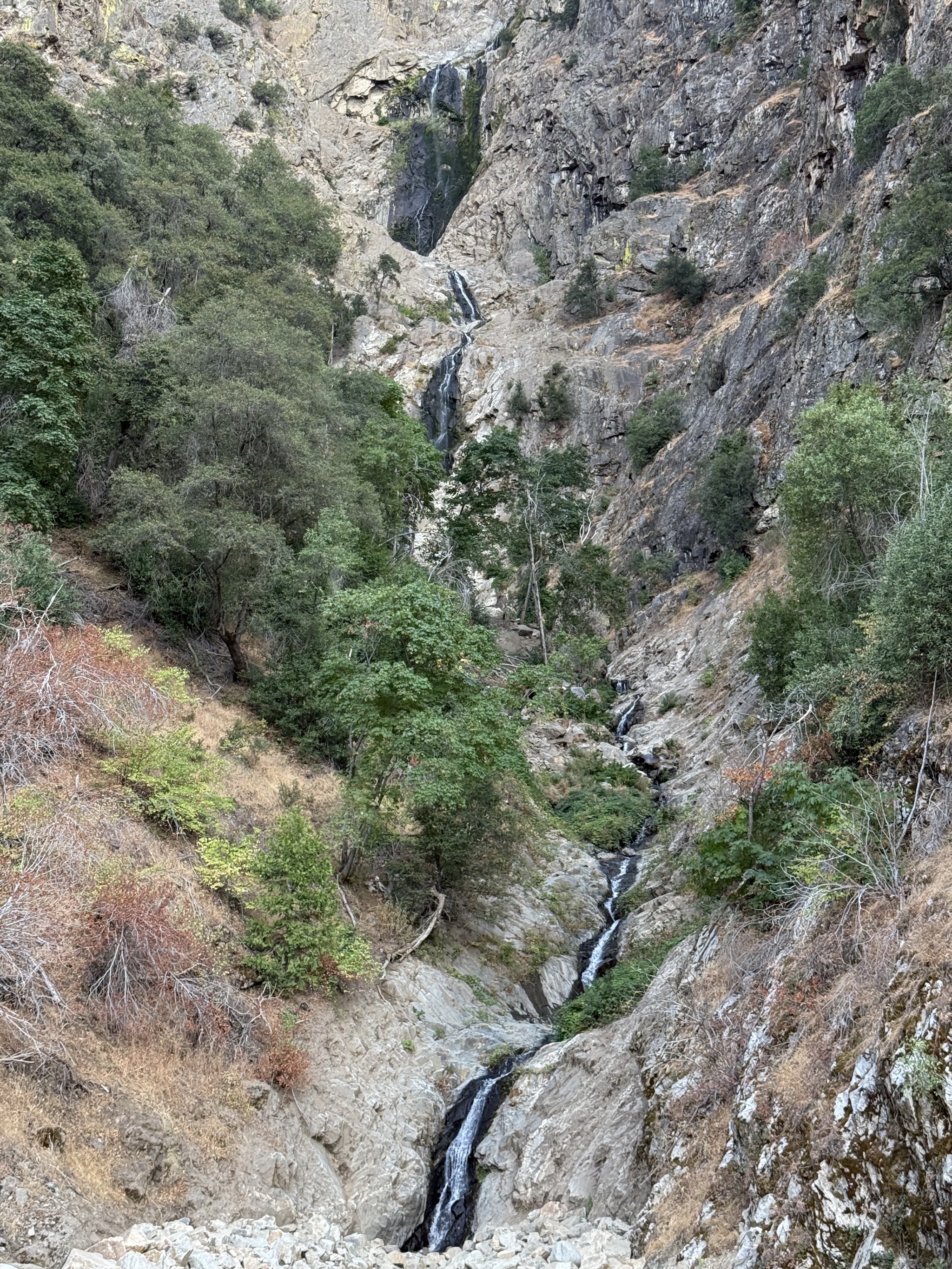 Sequoia National Forest