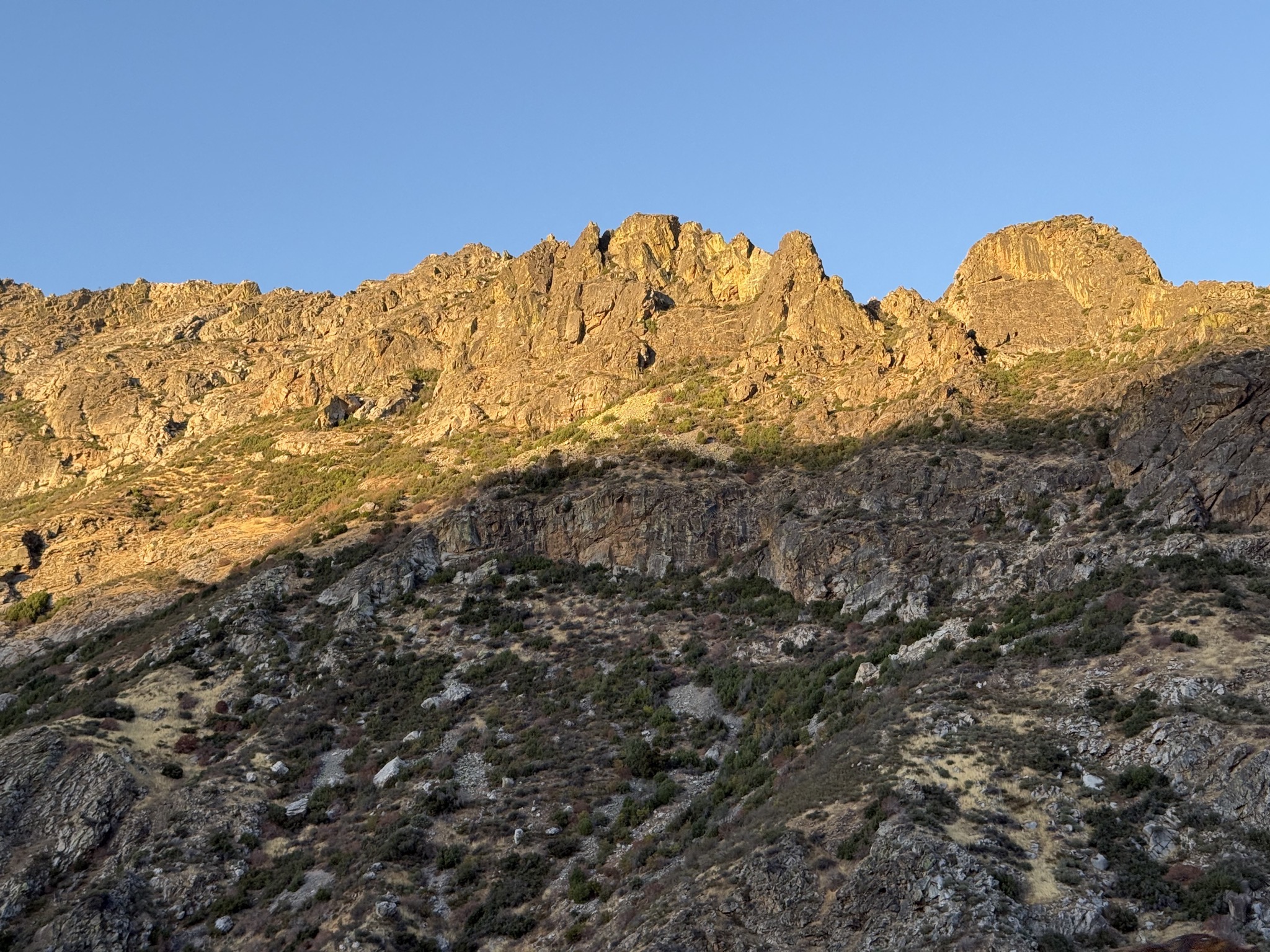 Sequoia National Forest