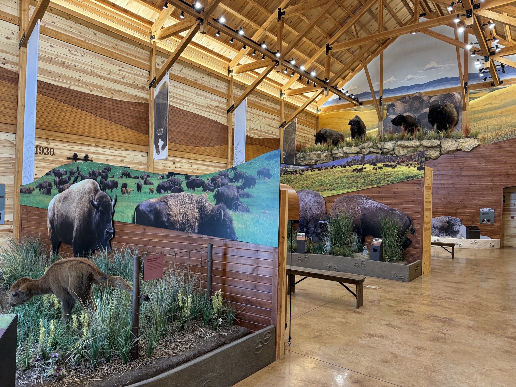 Bison Center