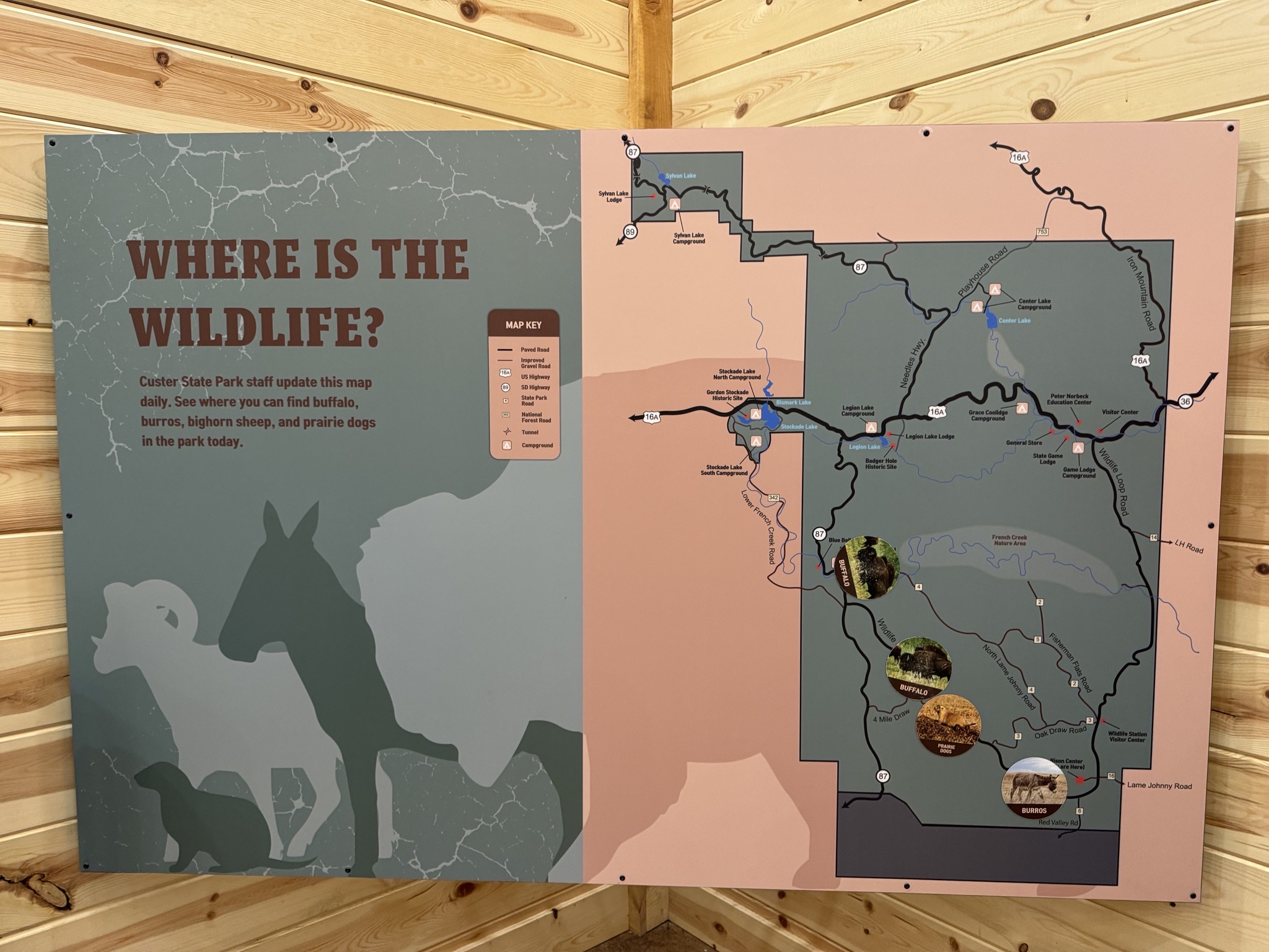 Bison Center