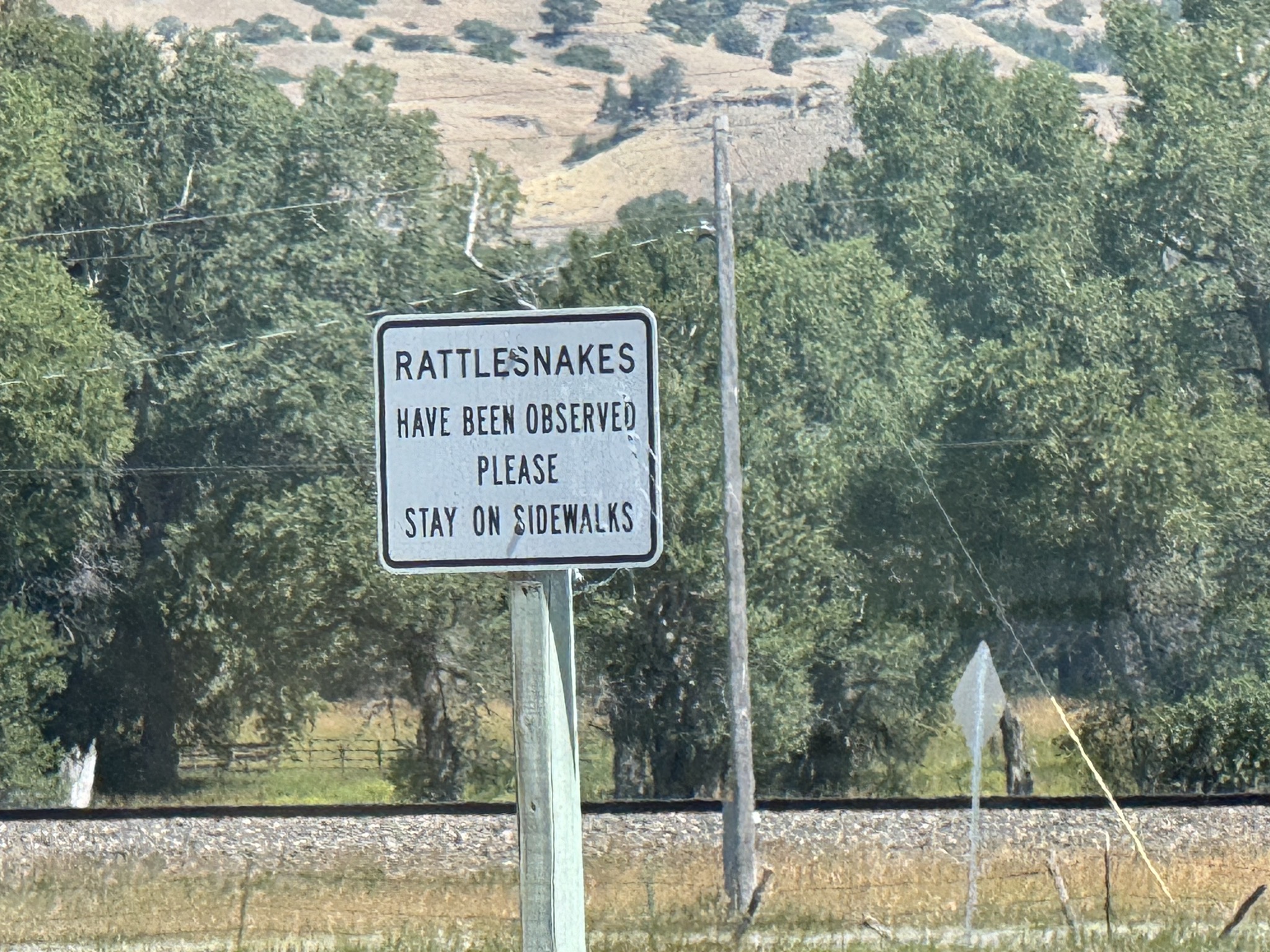Rattlesnakes have been observed; please stay on sidewalks